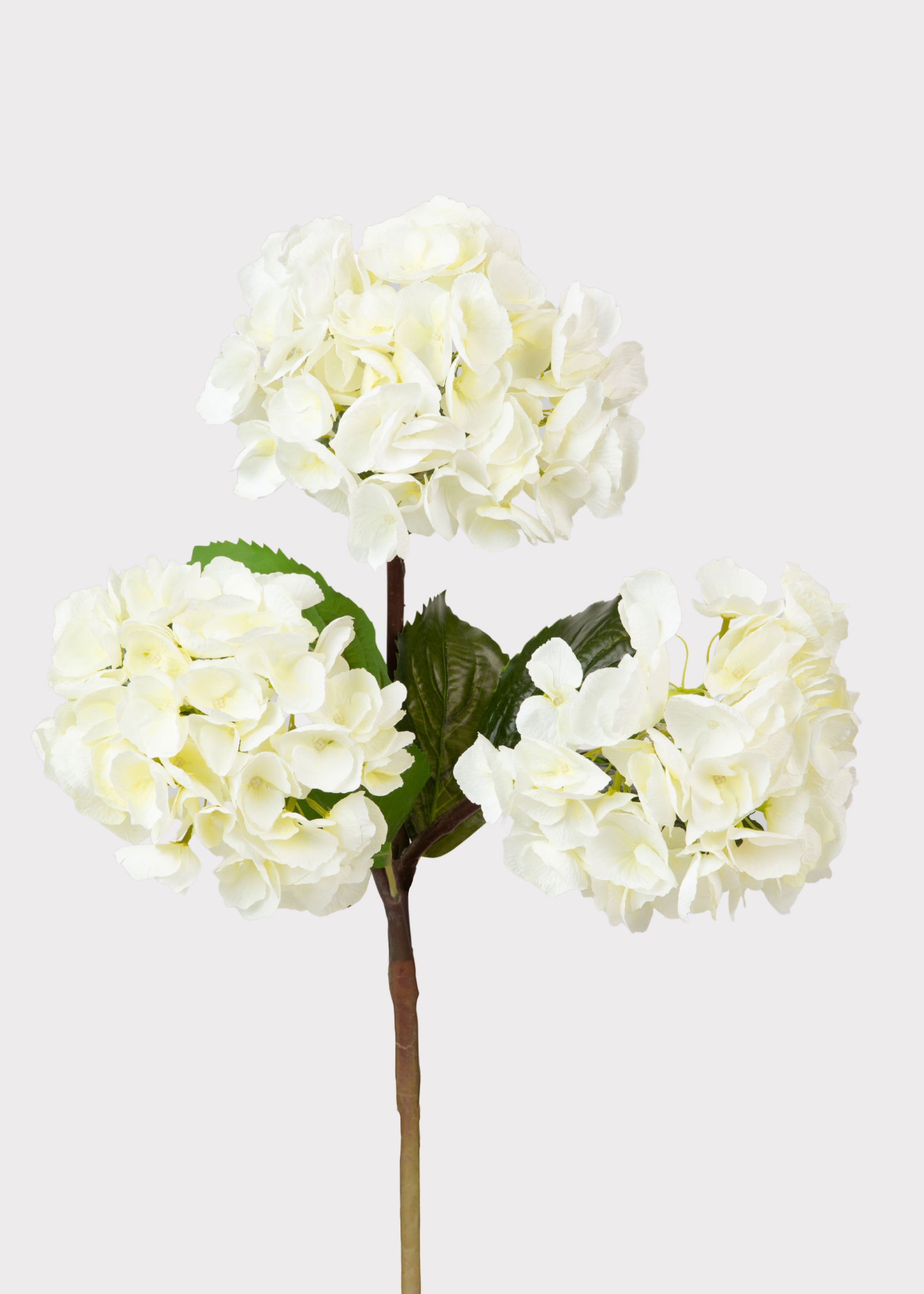 Faux Hydrangeas in Cream White