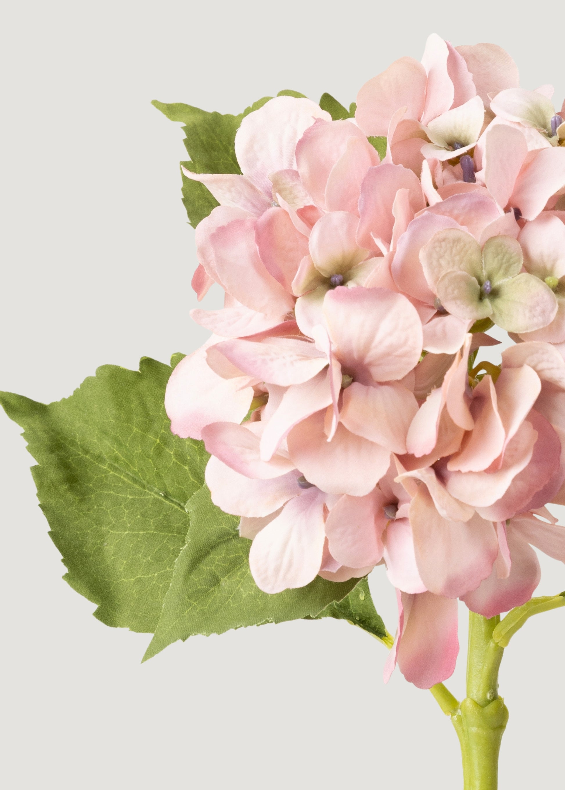 Close-up of Artificial Pink Hydrangea