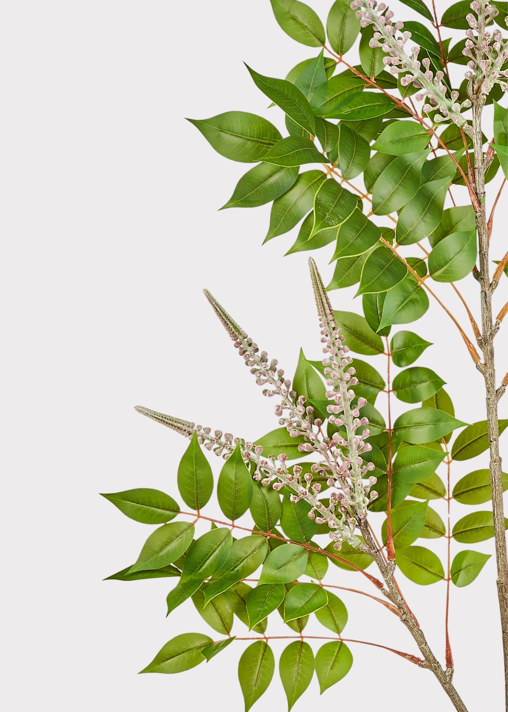 Close-up of Artificial Japanese Lacquer Tree Leaves