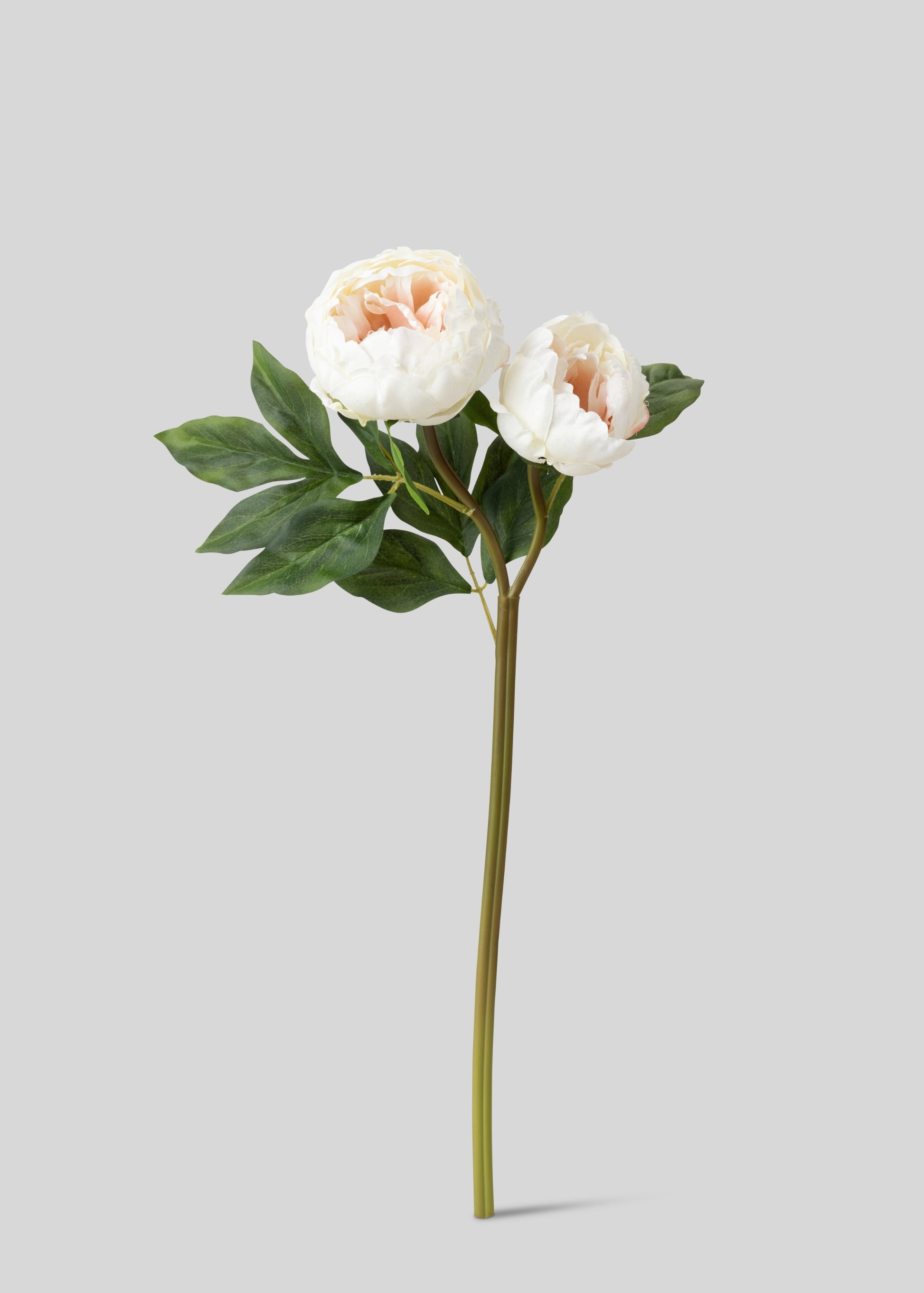 Cream Artificial Peony Flowers
