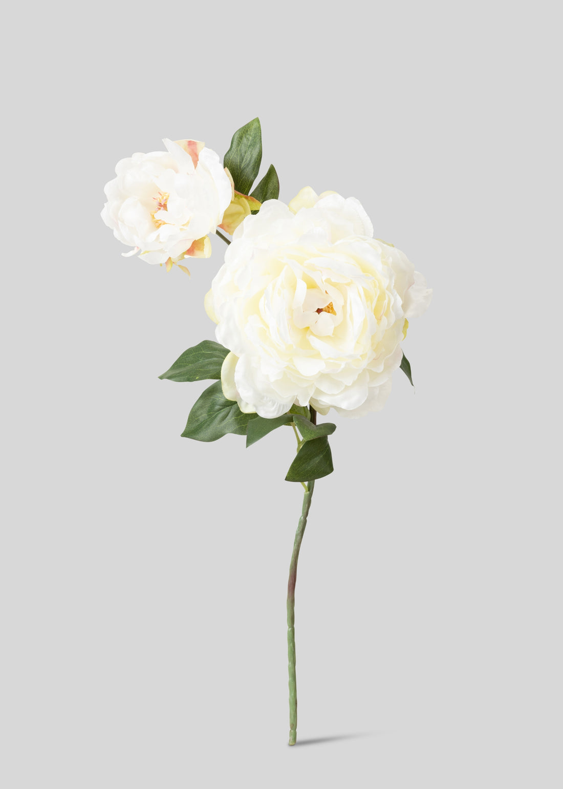 Cream Fake Blooming Peony with Bud 