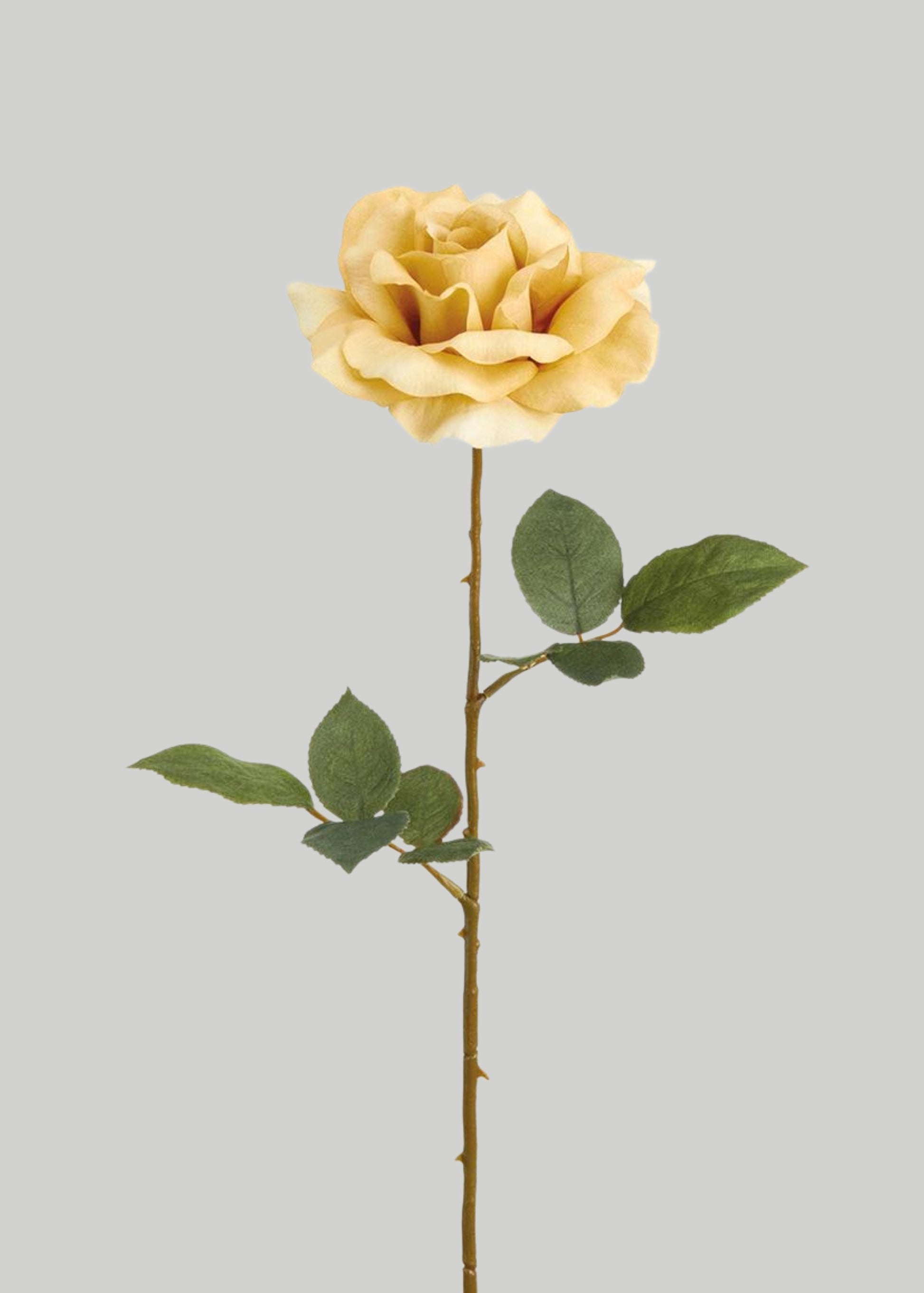 Beige artificial rose stem
