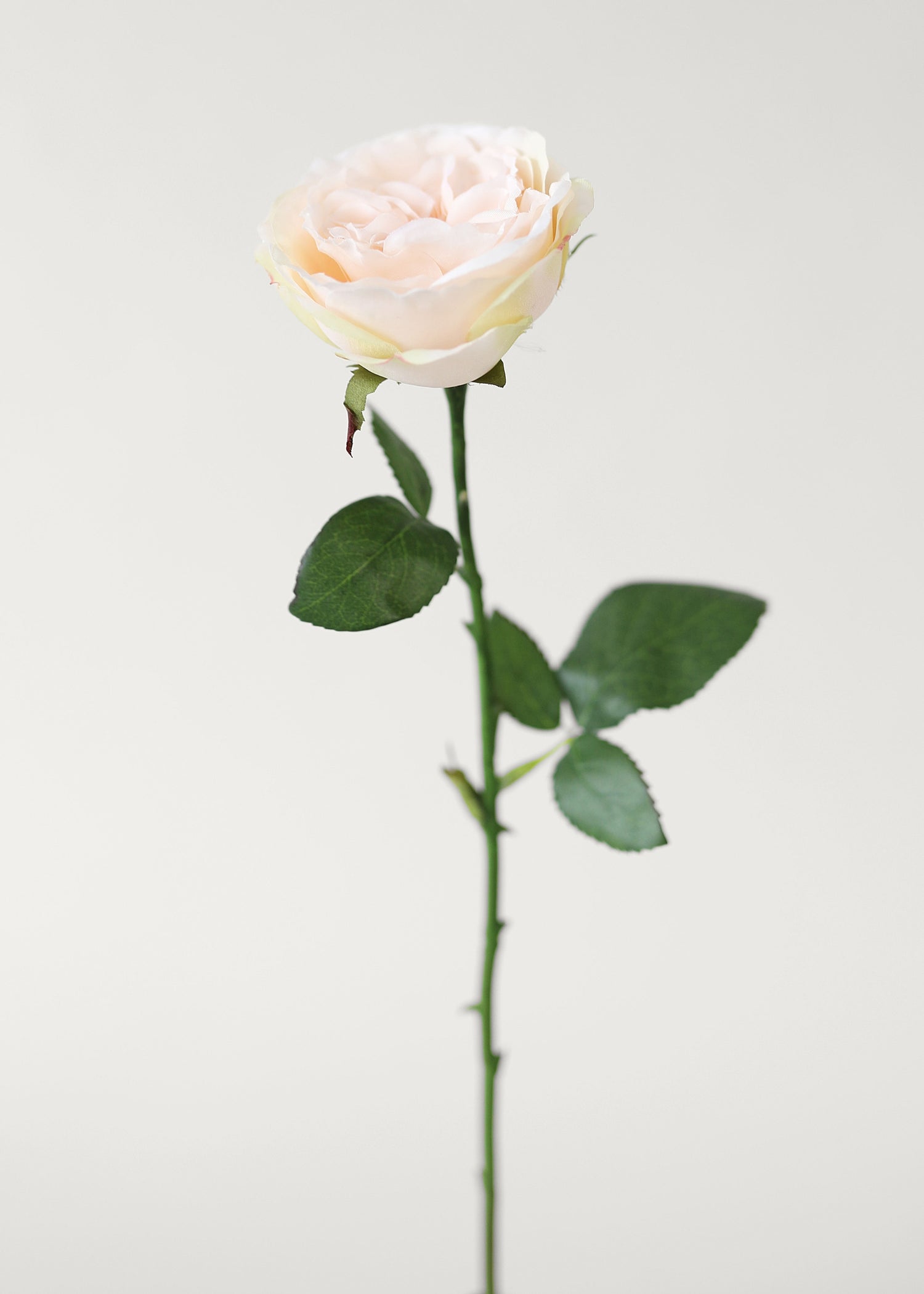 artificial apricot pink rose stem