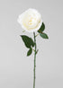 White Fake English Cabbage Rose