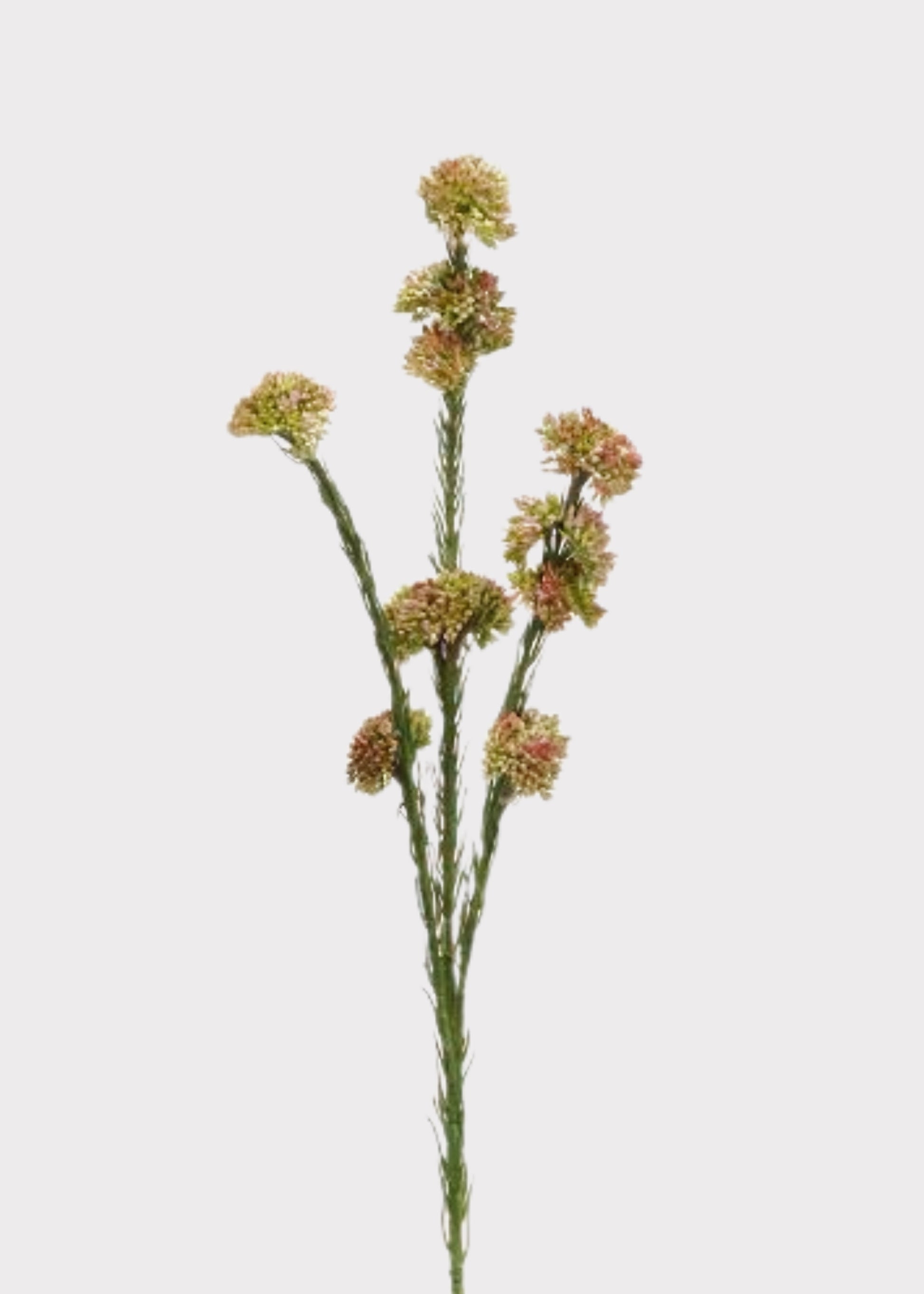 Fake Succulents Mauve Green Sedum Cluster Stem