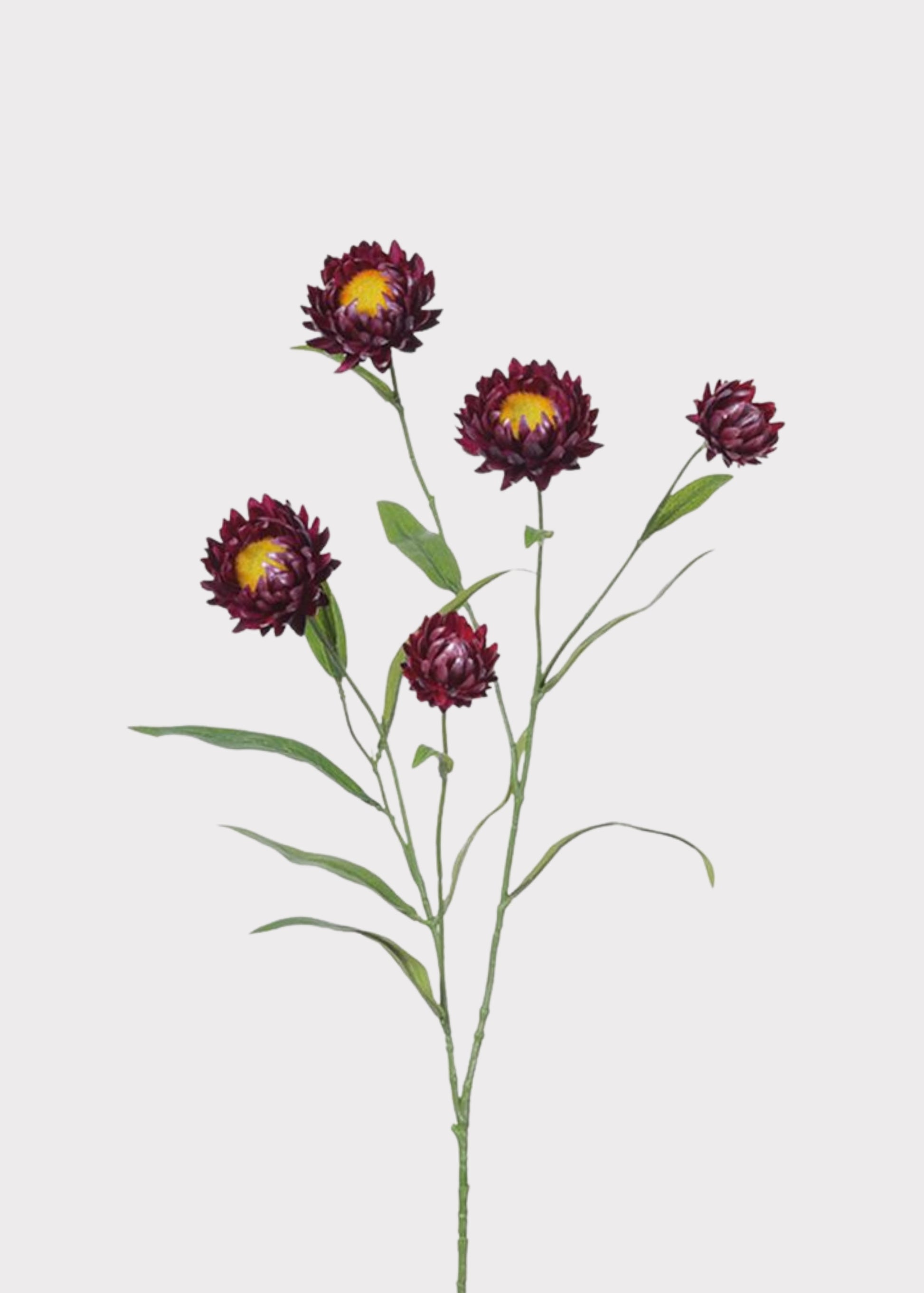 Purple Wine Fake Wildflowers Strawflower Spray
