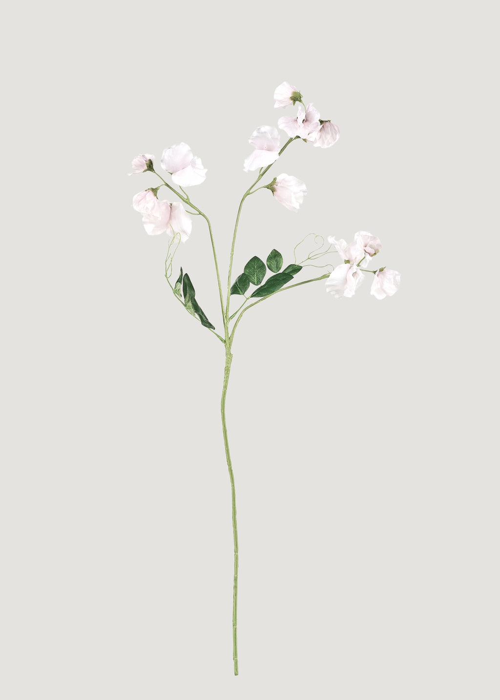 Artificial Sweet Pea Flower Stem