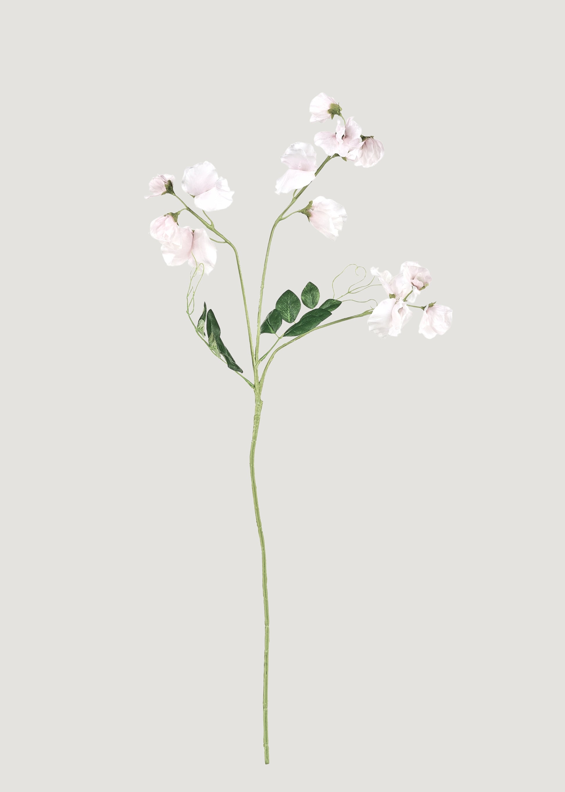 Artificial Sweet Pea Flower Stem