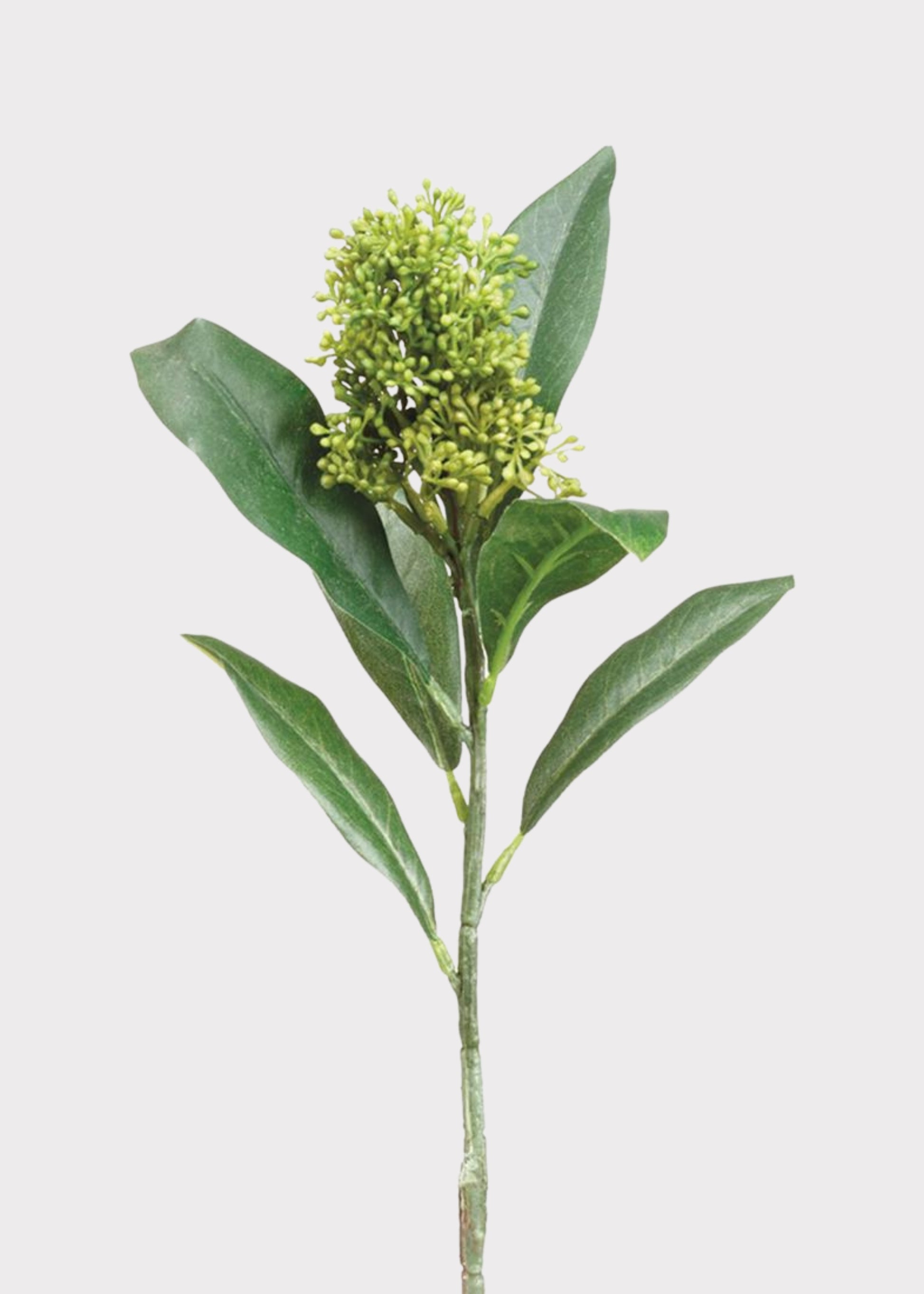 Green Artificial Skimmia Flower Pick 