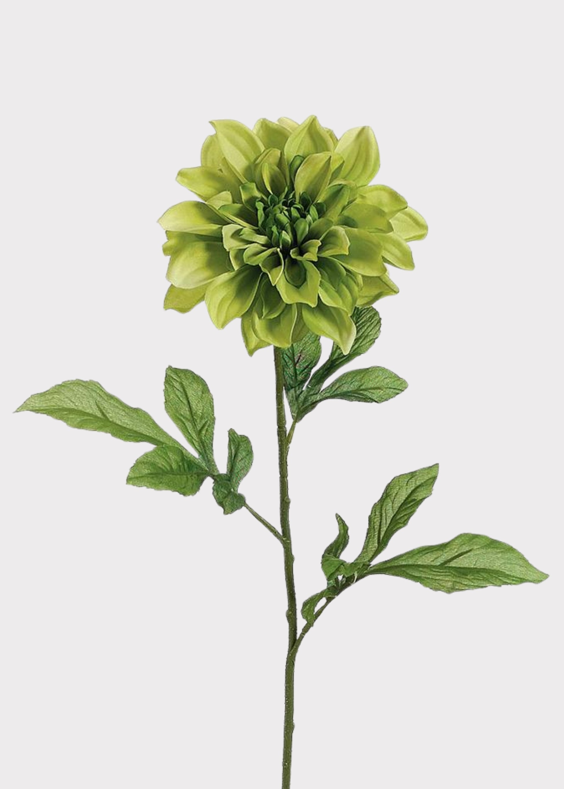 Artificial Dahlia Flower in Green