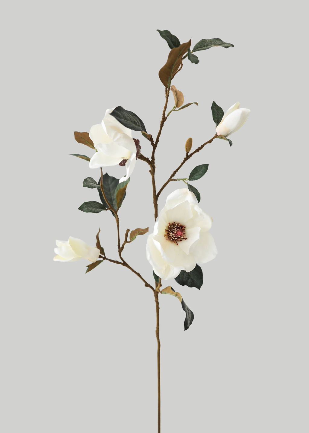 Faux Spring Flowers Magnolia Branch in Cream at Afloral