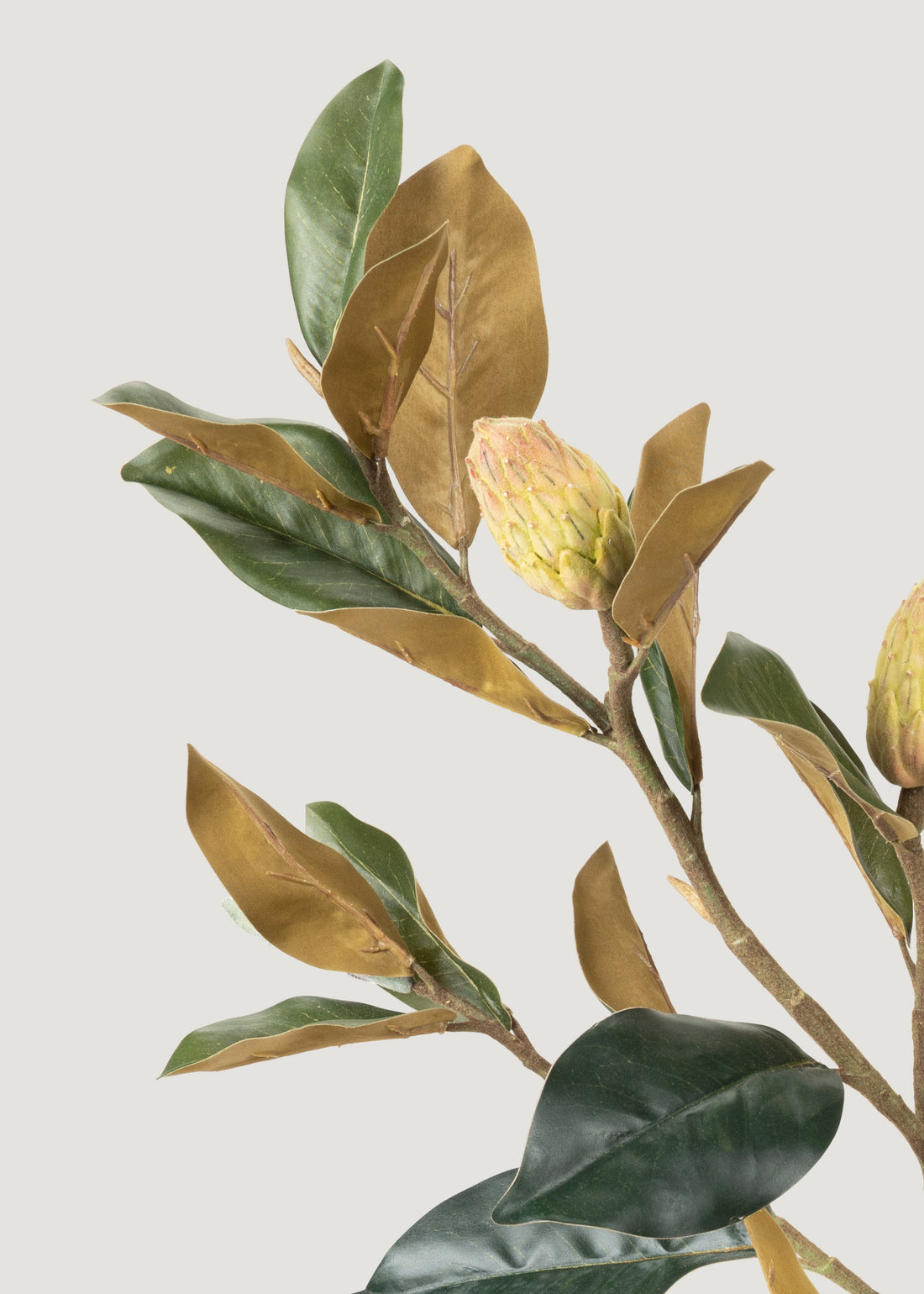 Close-up of Faux Magnolia Bud