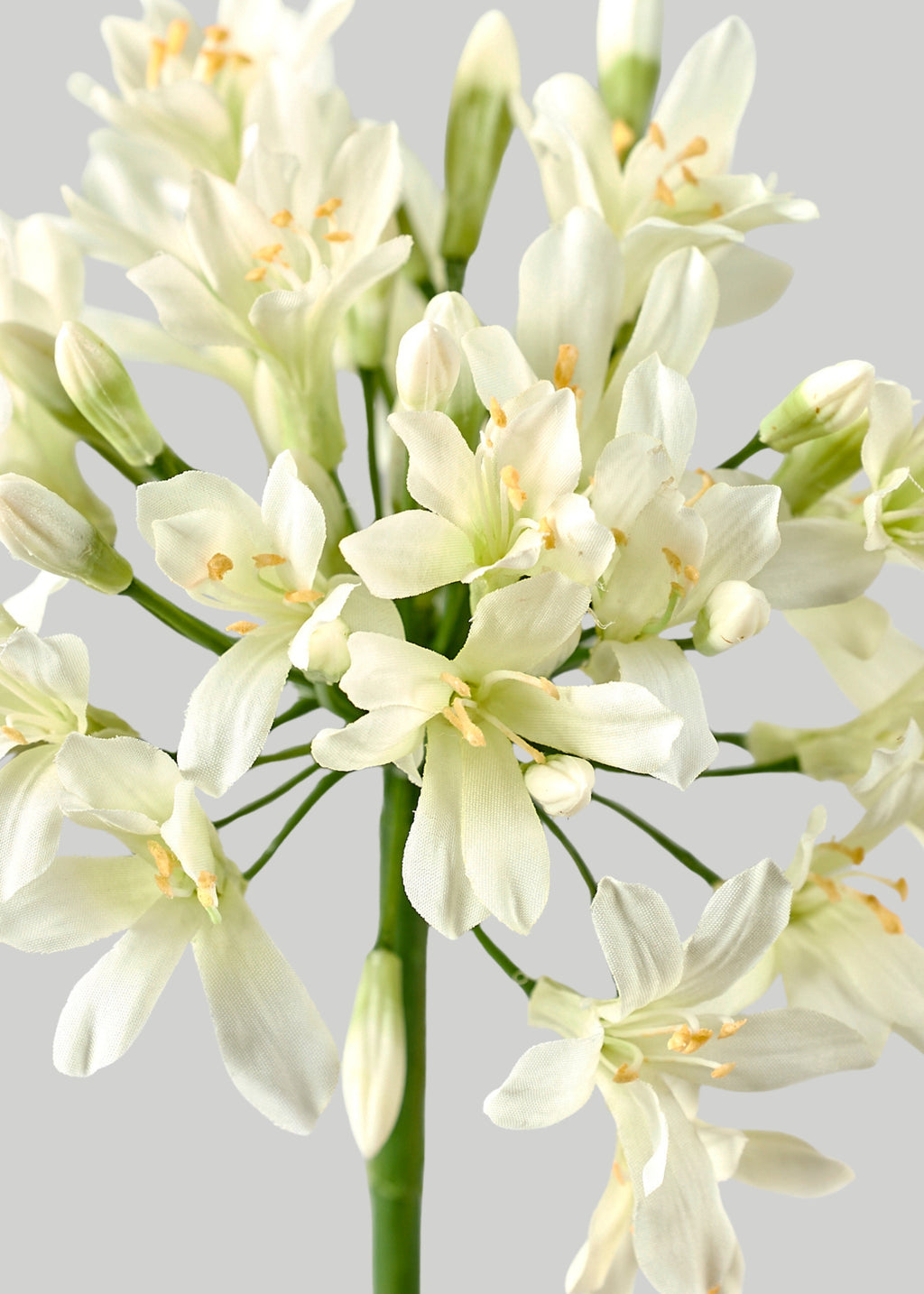 Close-up of Faux Agapanthus