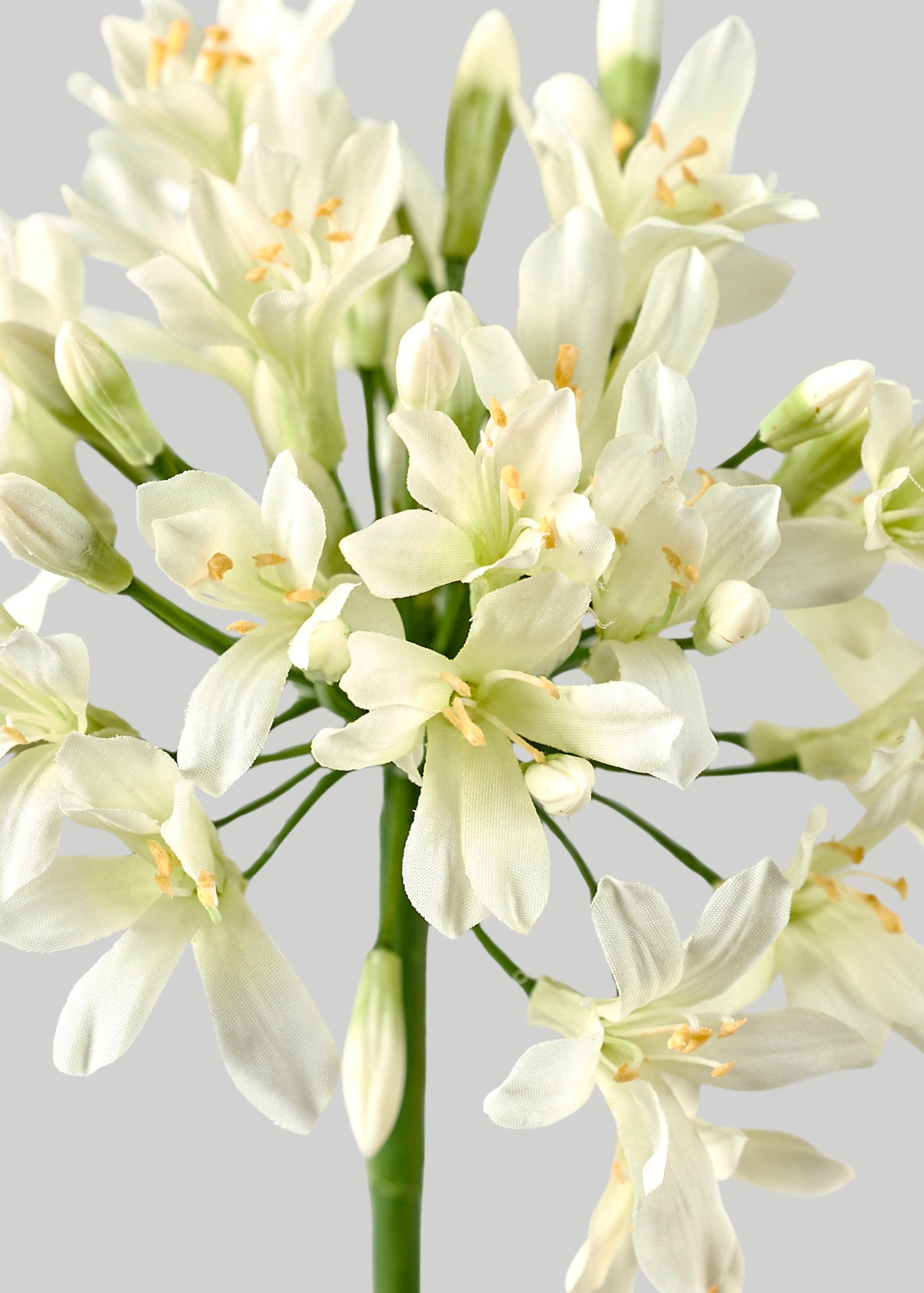 Close-up of Faux Agapanthus