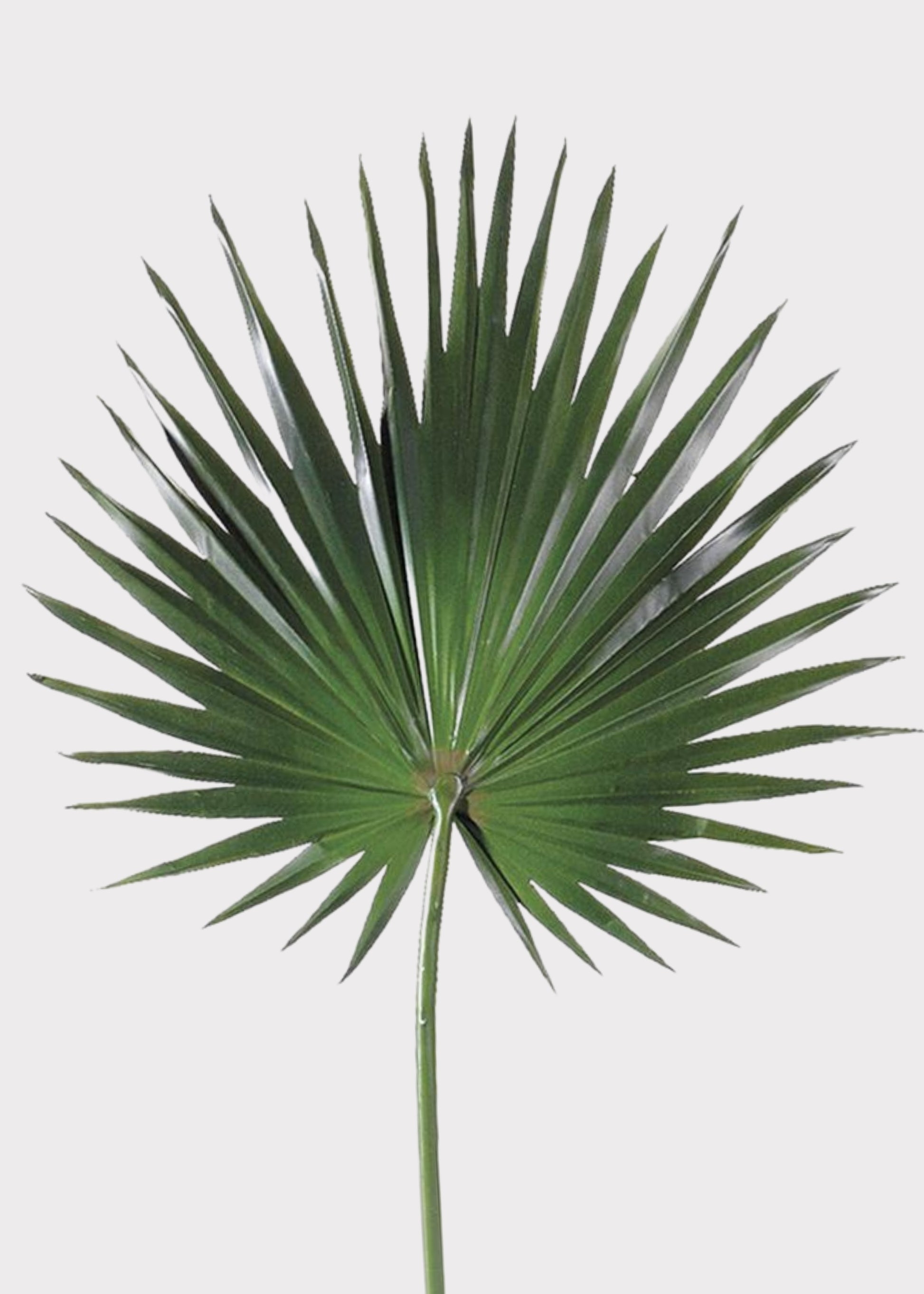 Artificial Fan Palm Leaf 
