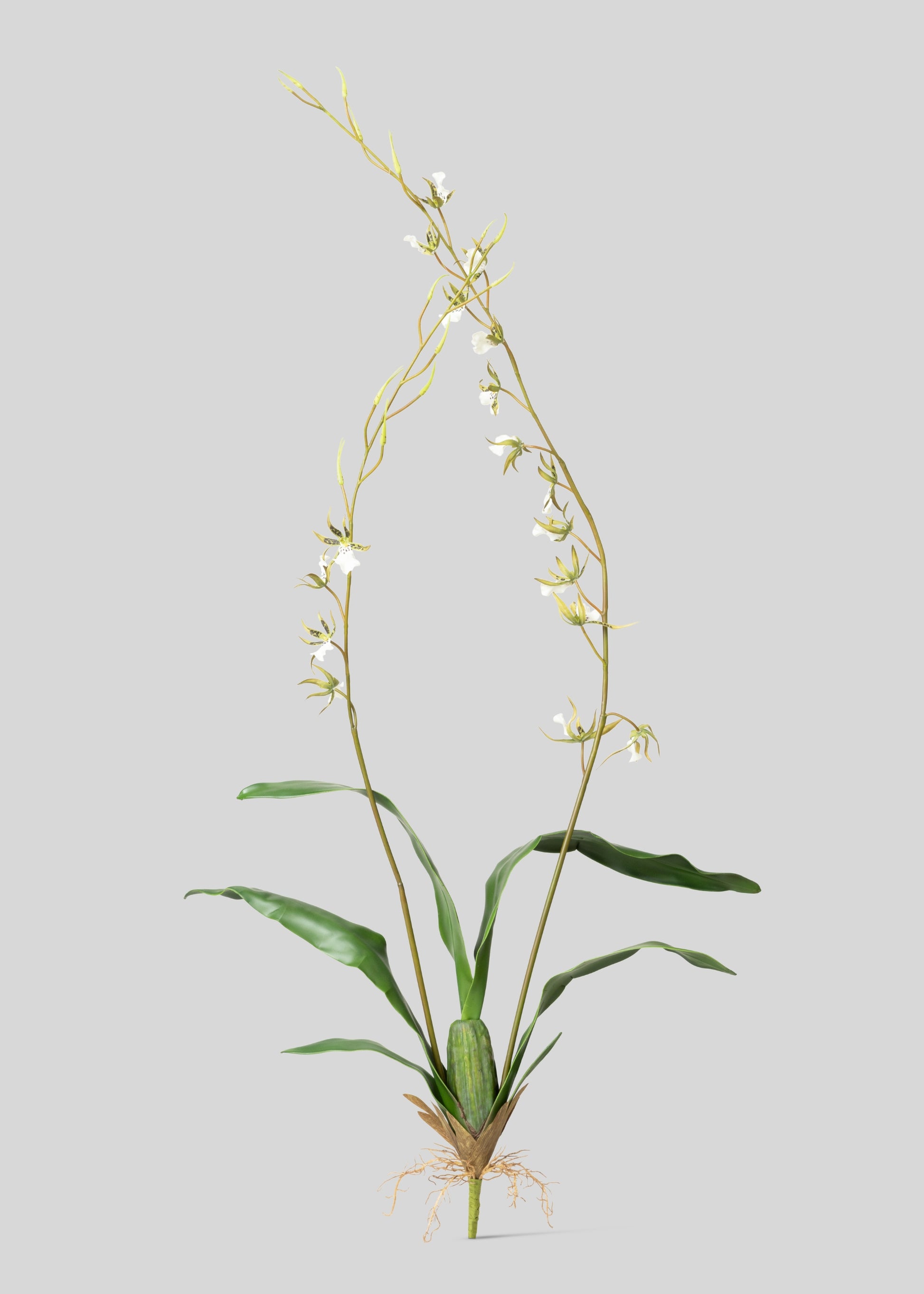 Tall Artificial Blooming Brassia Orchid Plant
