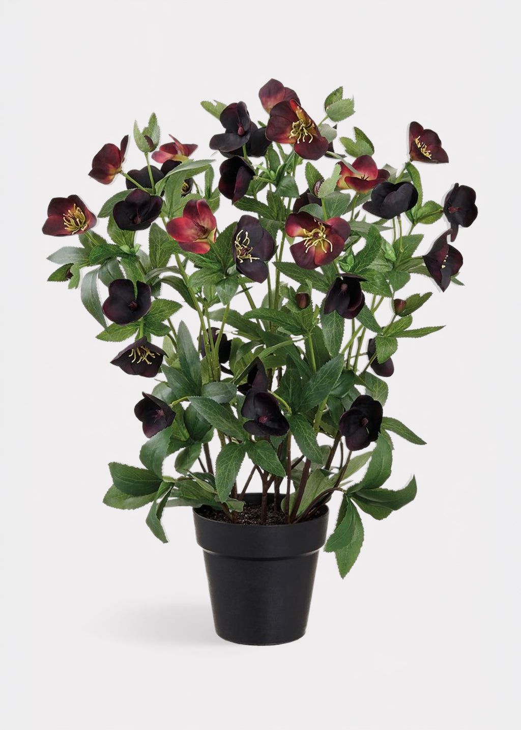 Plum Purple Helleborus Fake Flower Arrangement in Pot