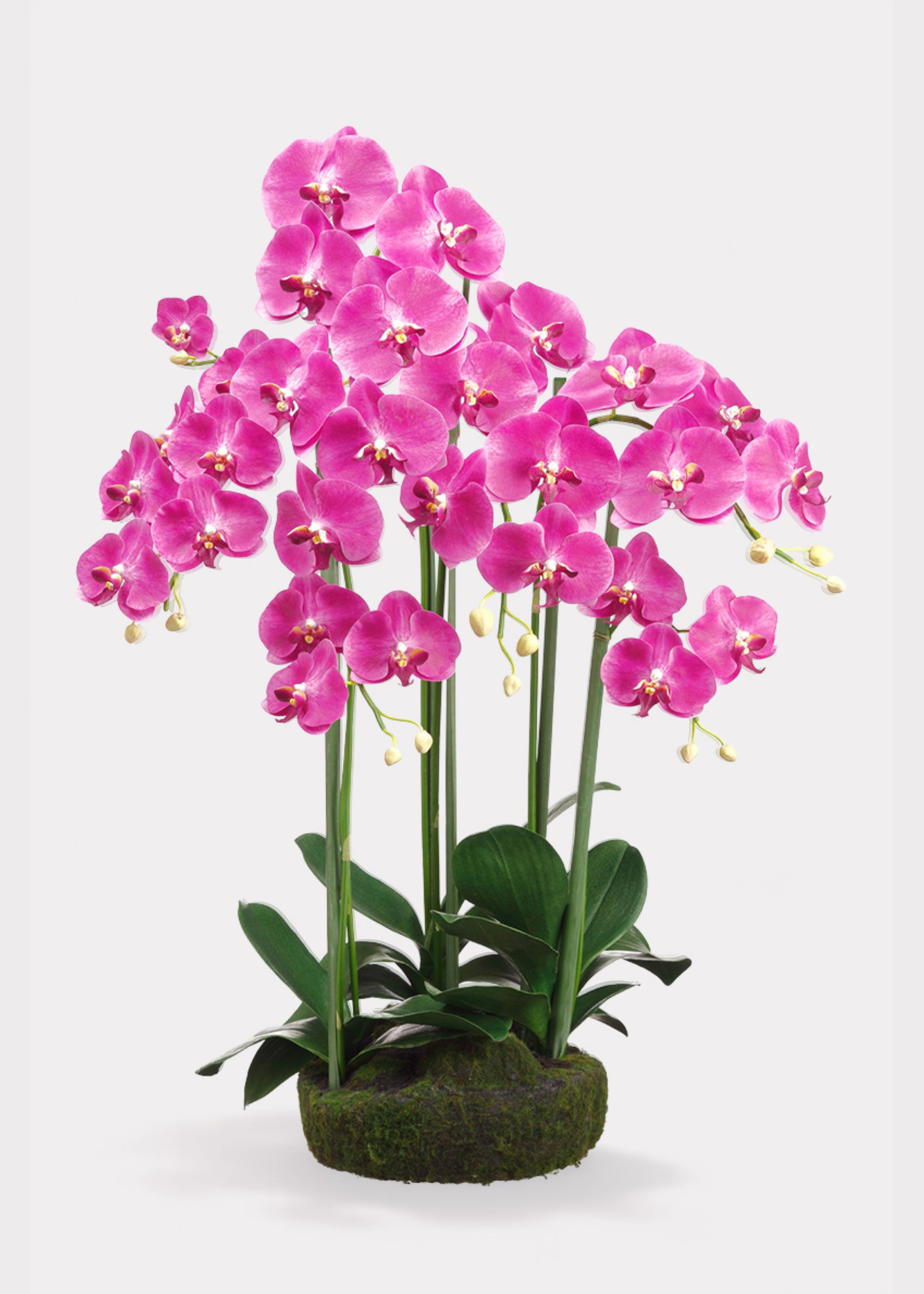 Fuchsia Large Orchid Drop-In Plant | Premium Fake Flowers | Afloral