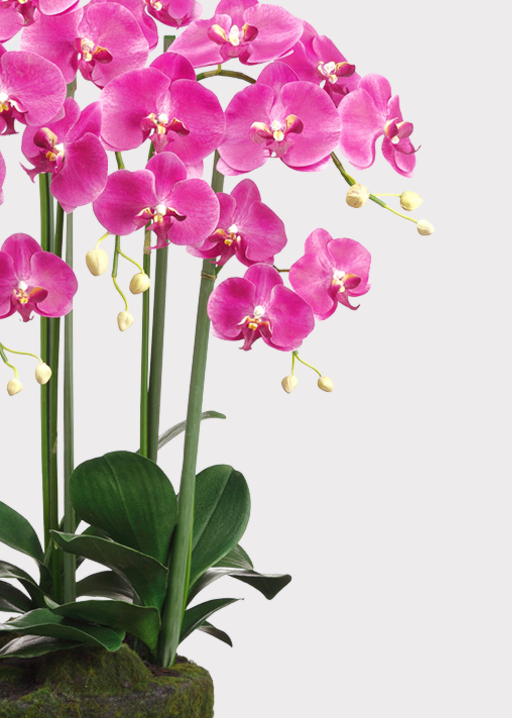 Faux Fuchsia Orchid 