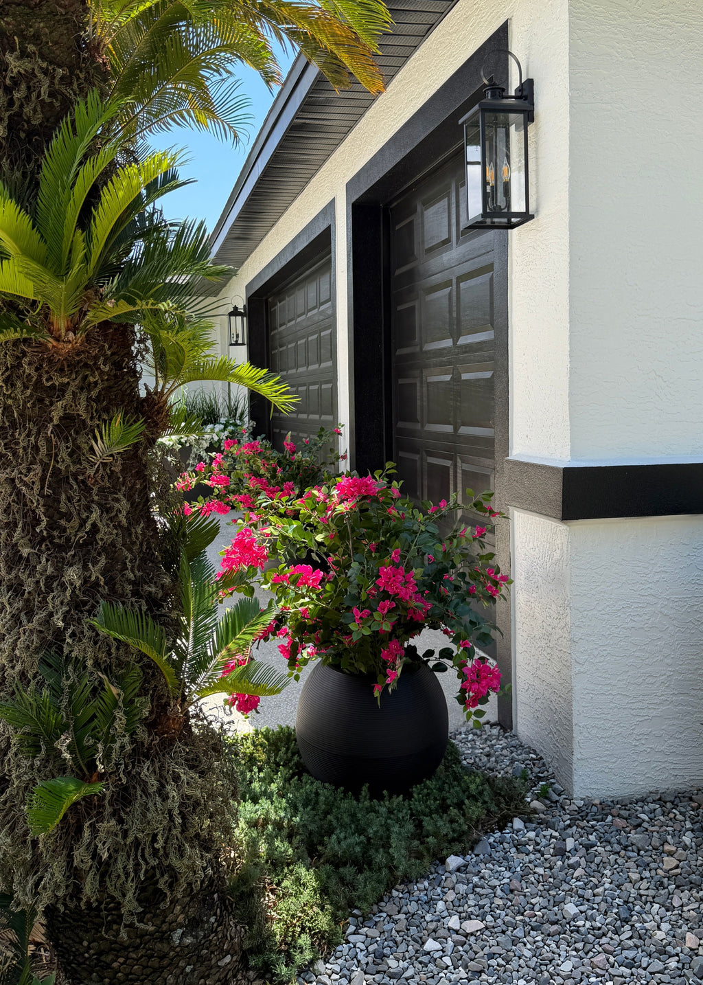 Pair of potted bougainvillea in front of a garage