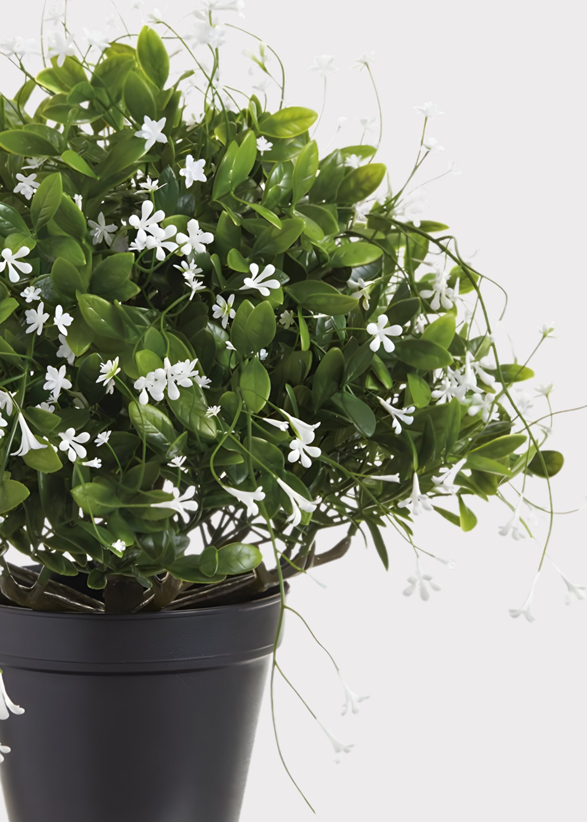 Close-up of a Fake Boxwood and Baby's Breath Potted Plant