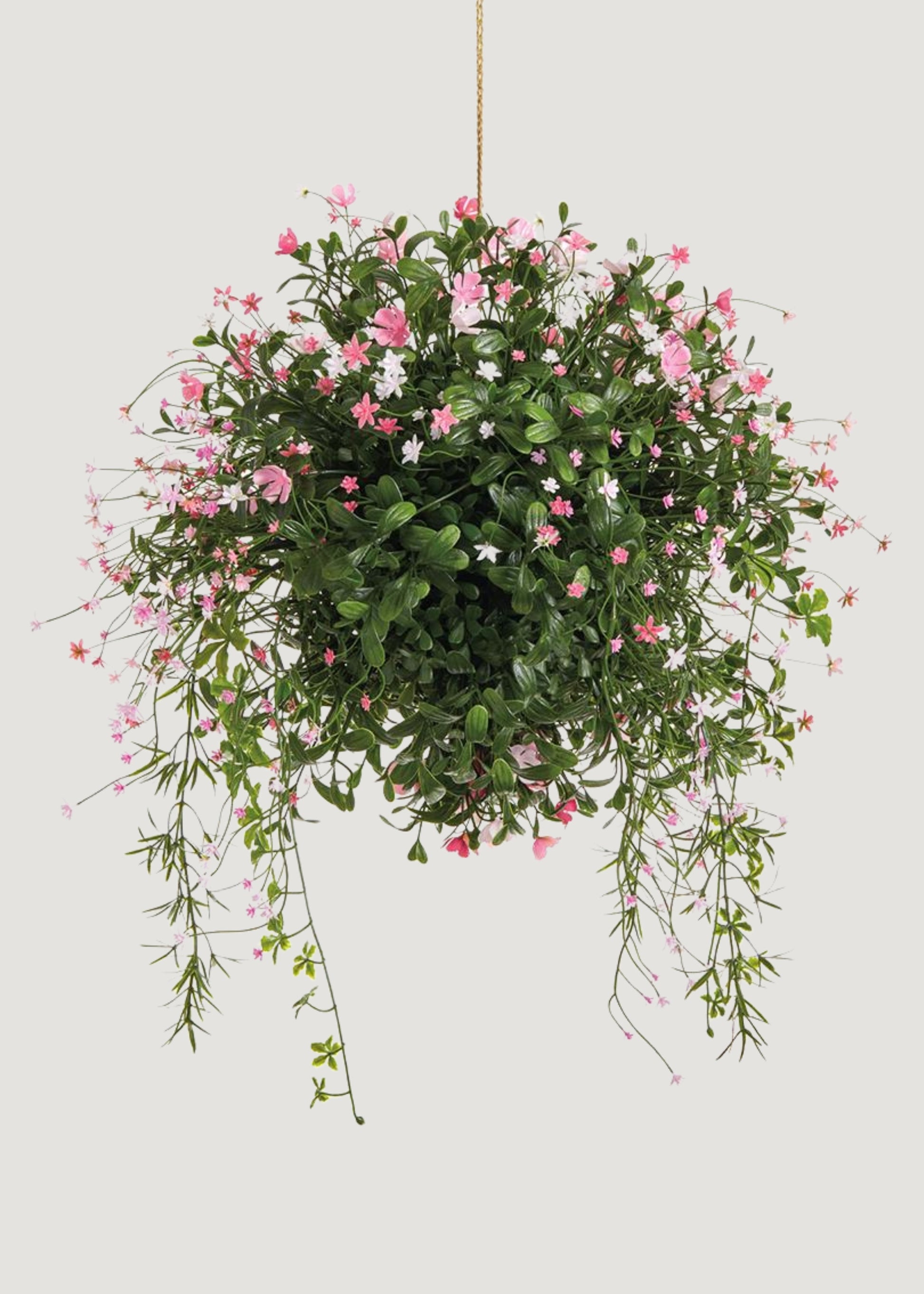 Hanging Boxwood and Pink Flower Plan