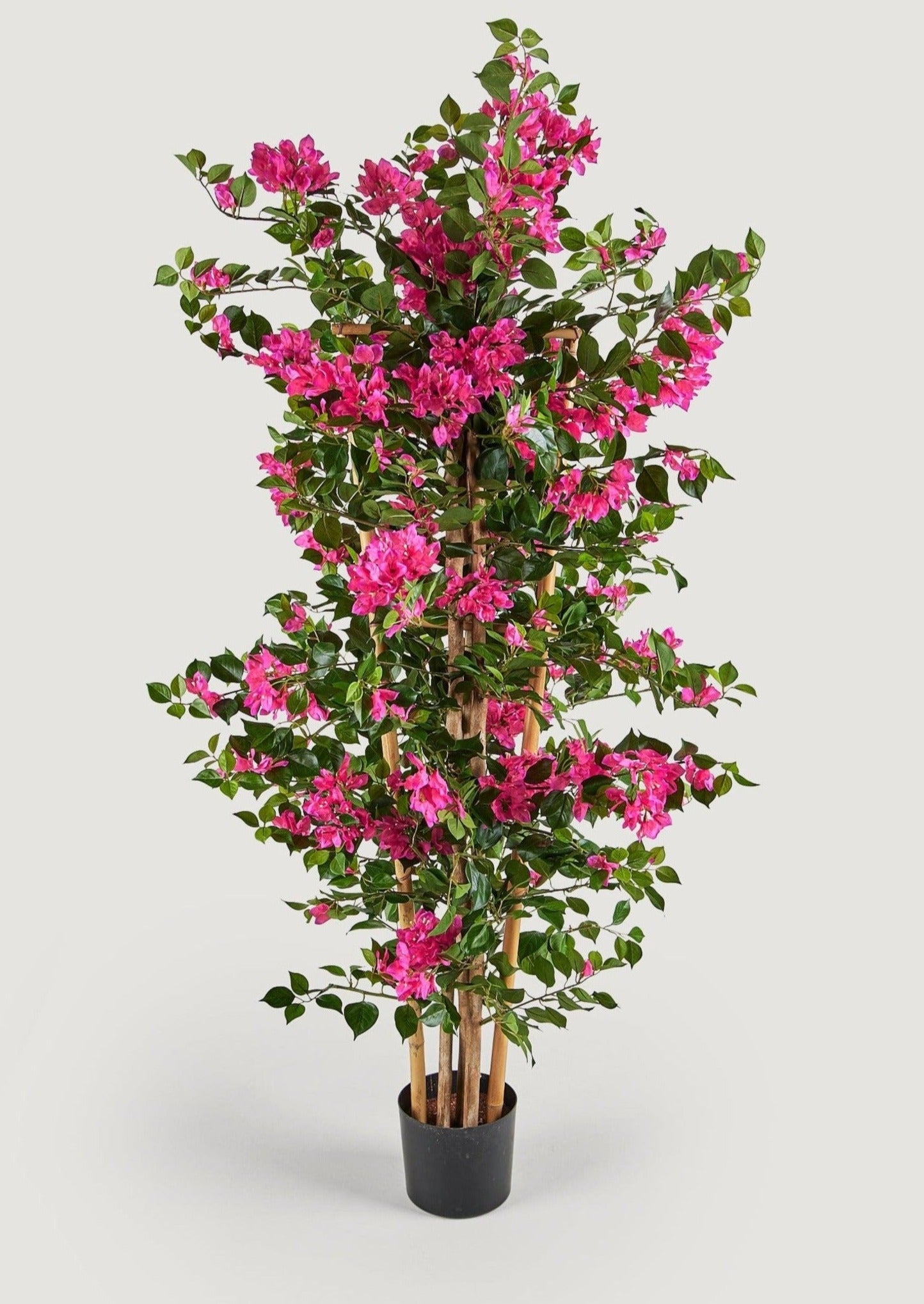 artificial plants for trellis 4'7" Bougainvillea Flower On Trellis Silk Plant w/Pot -Beauty (Pack of 2)