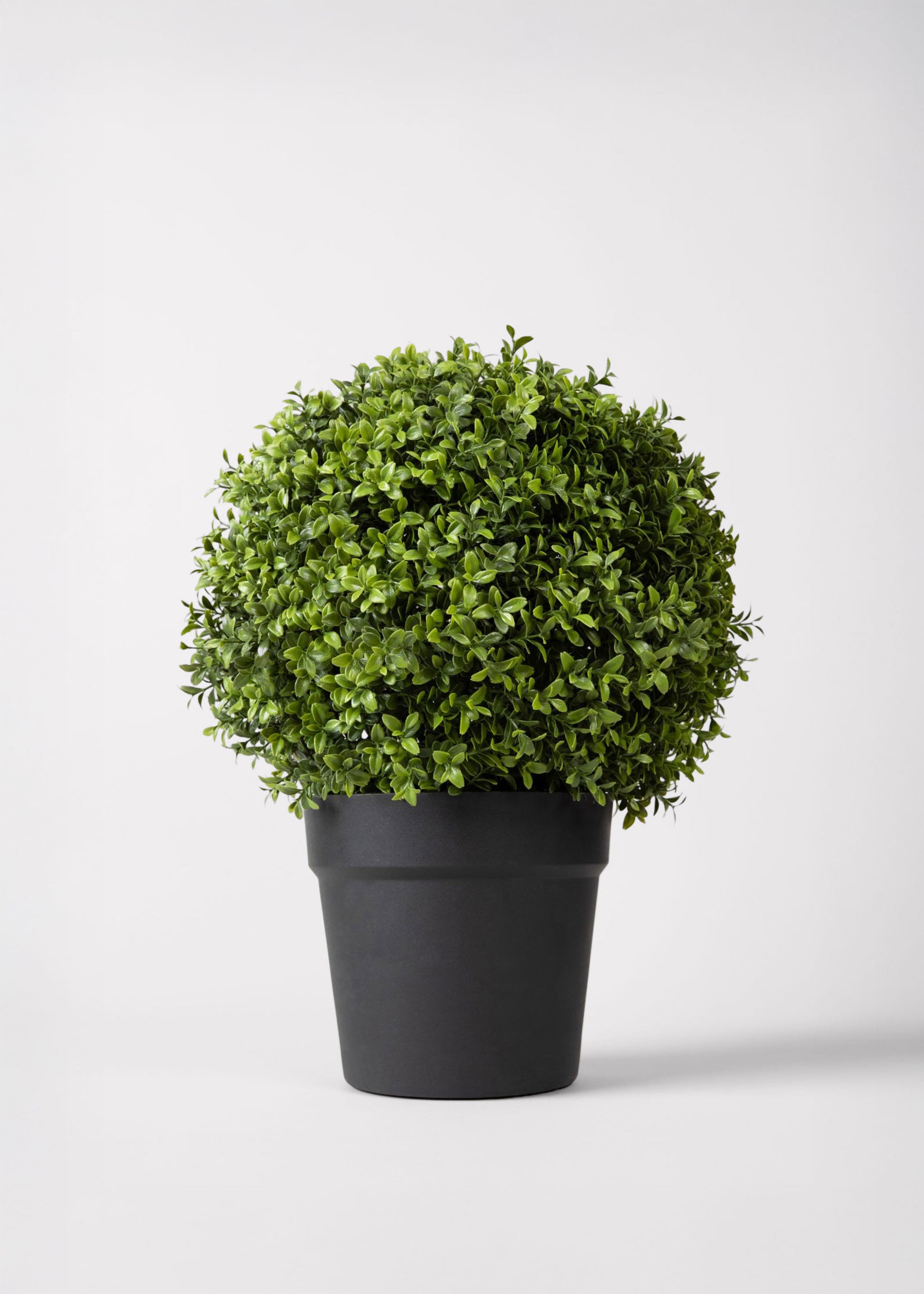 Fake Plant Boxwood Topiary Potted in Black Plastic Pot