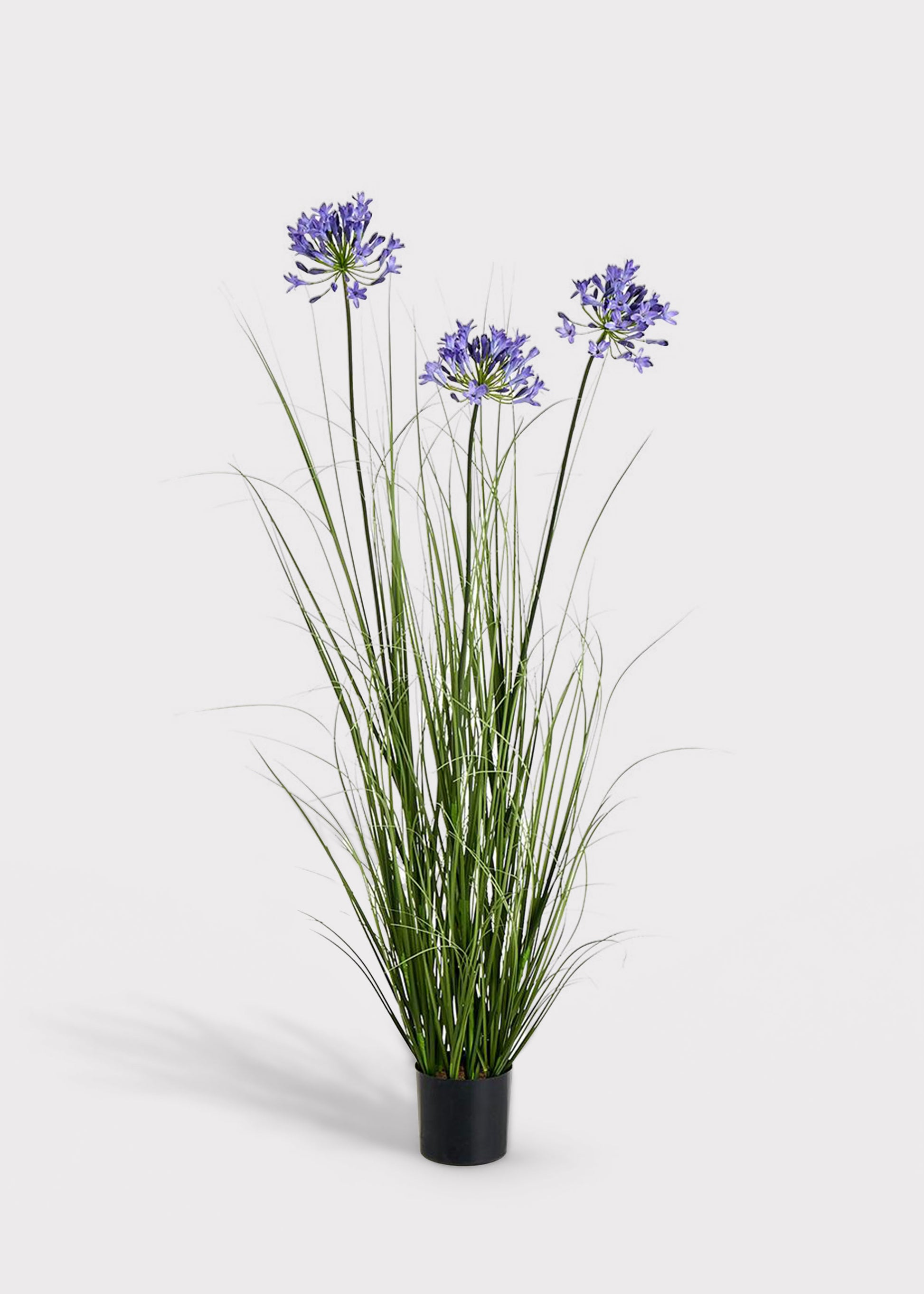 Blue Artificial Agapanthus Flower and Grass Potted Arrangement 