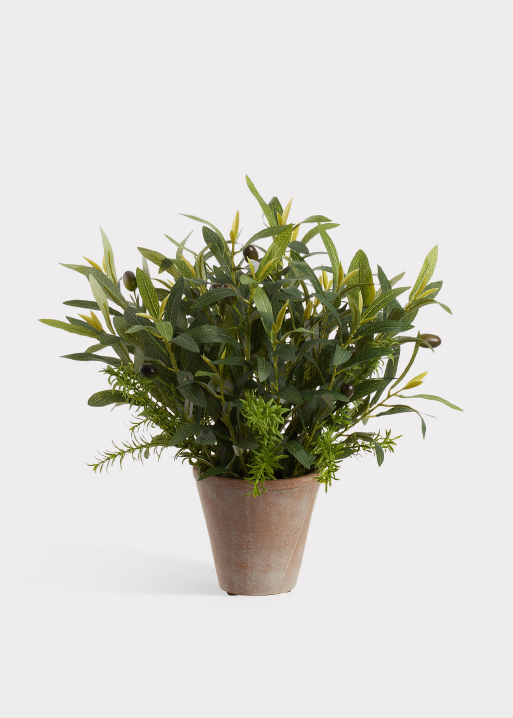 Faux Olive Leaf and Rosemary Plant in Cement Pot 