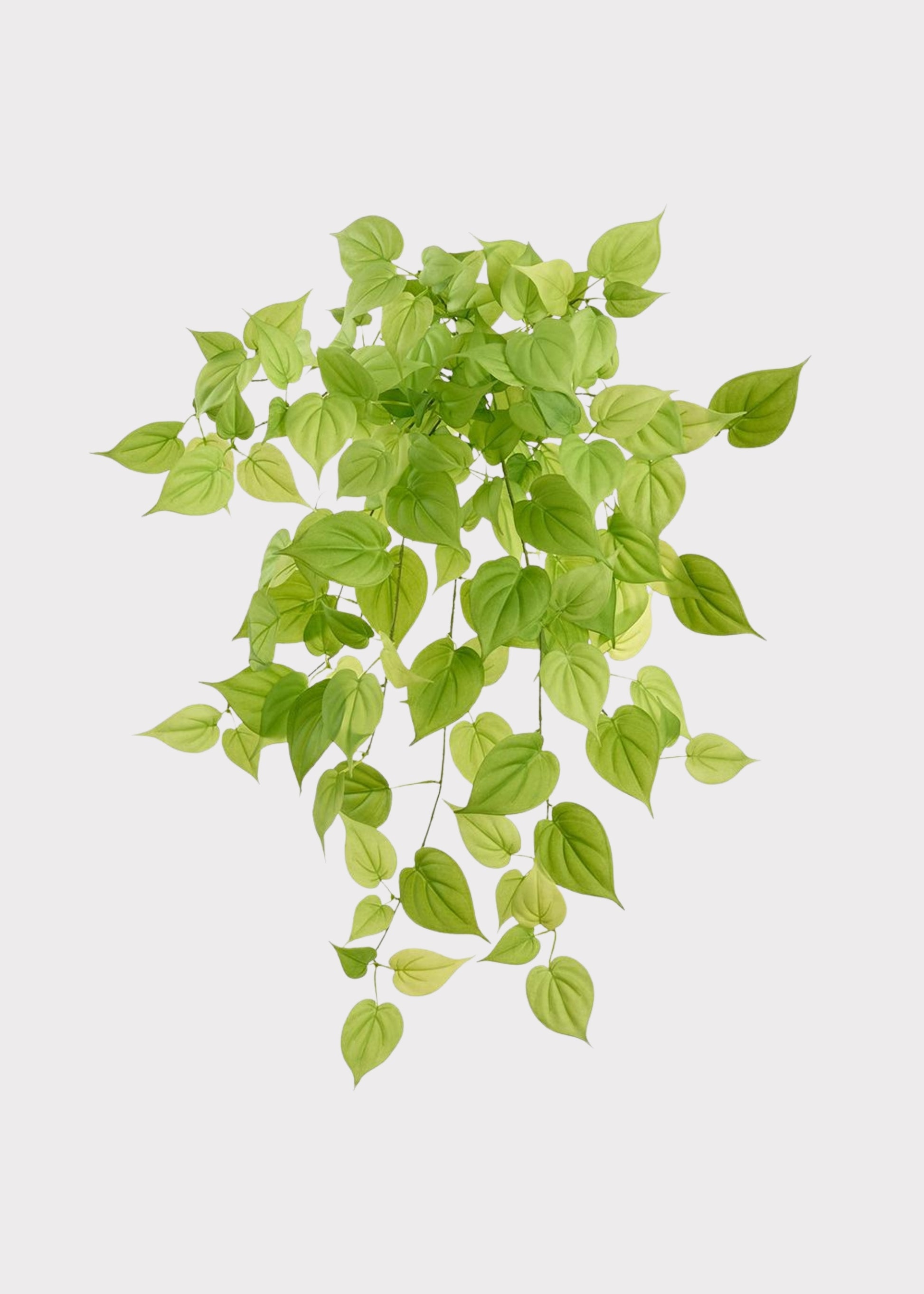 Large Fake Betel Leaf Hanging Vine Plant 