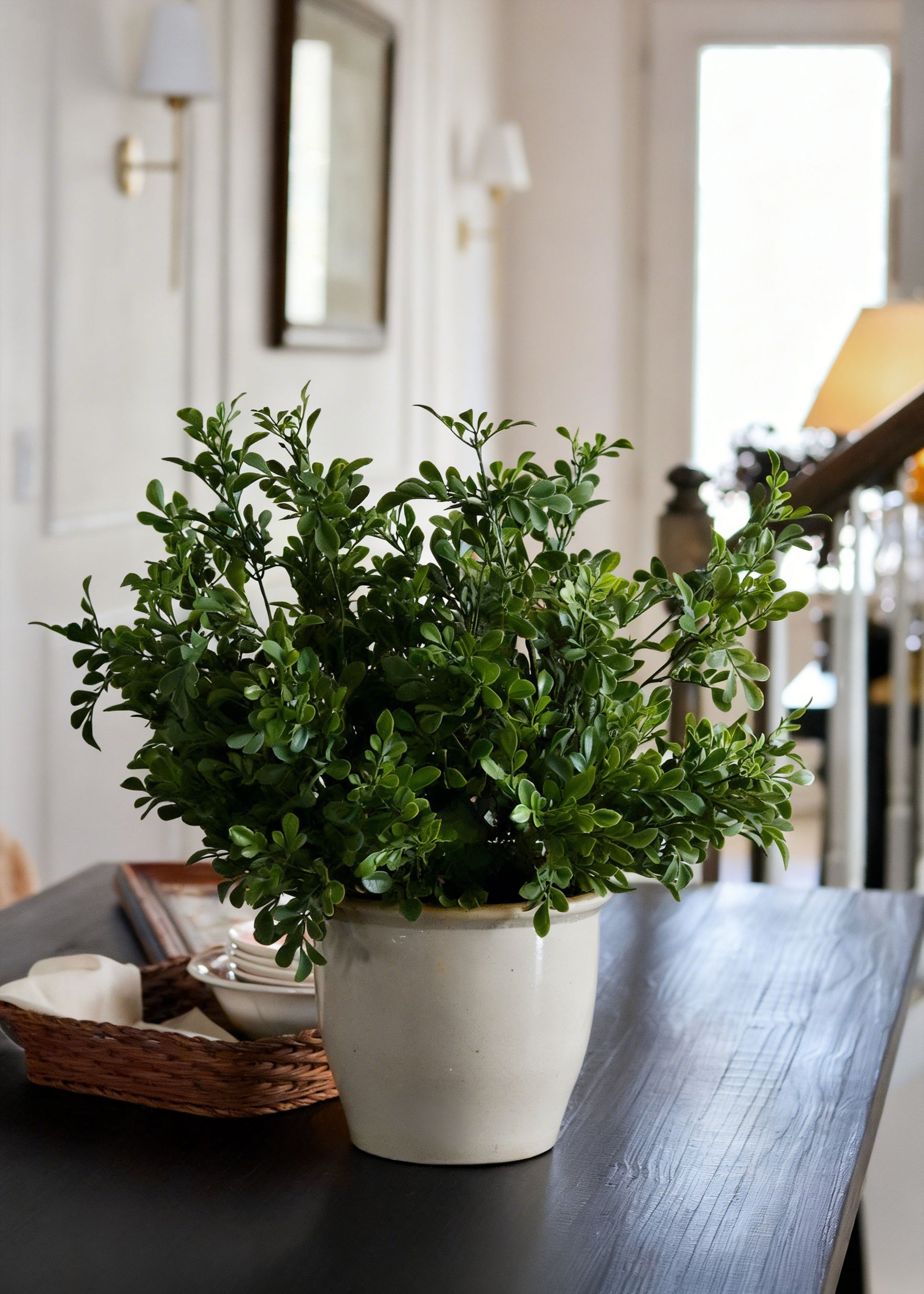 Fake Plants UV Treated Indoor/Outdoor Boxwood Bush - 24"