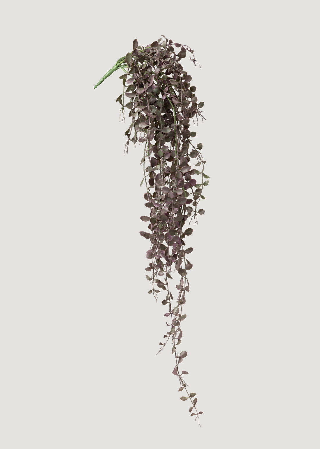 Eggplant Green Fake Button Leaf Hanging Plant 