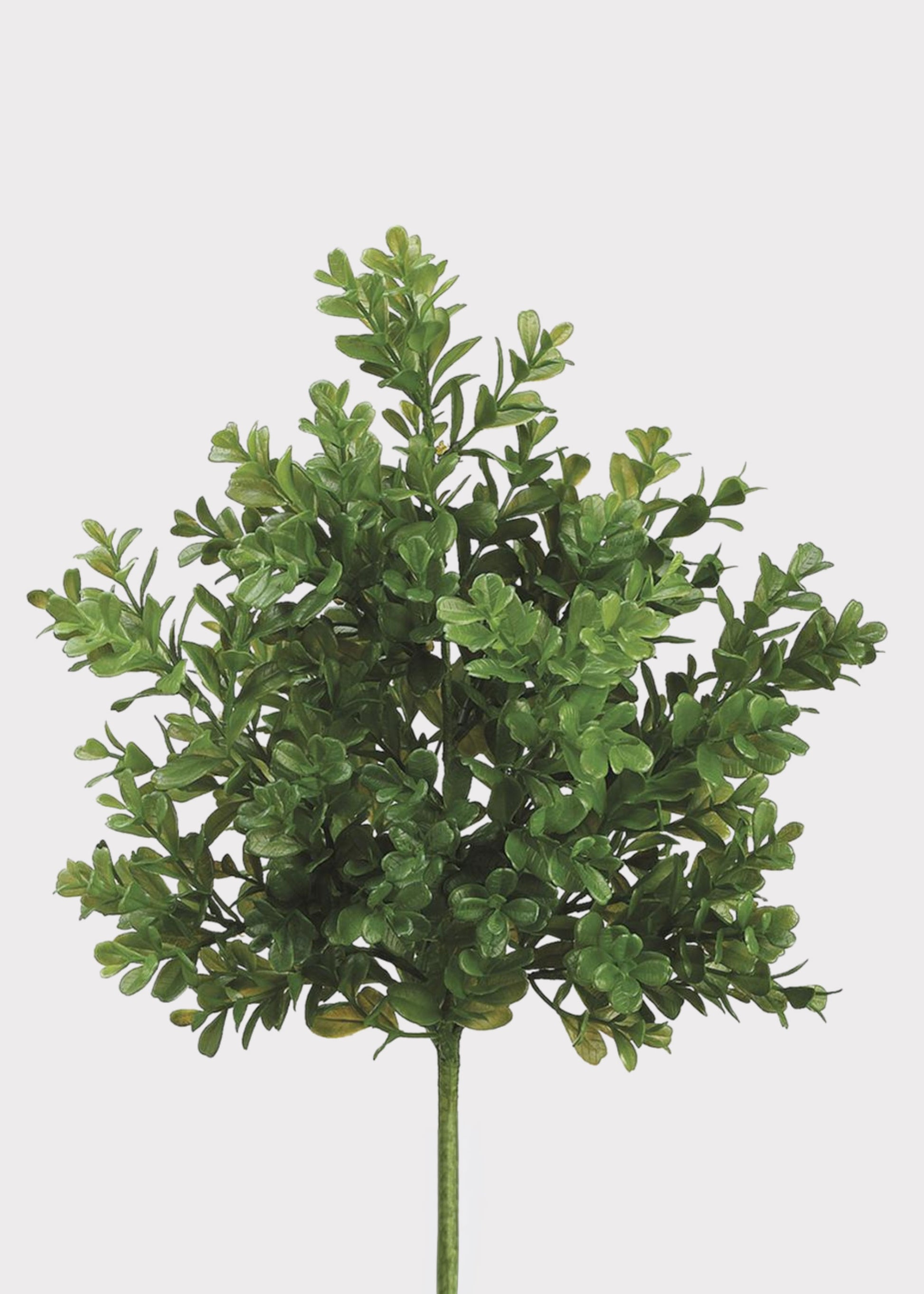 Artificial Boxwood Bush