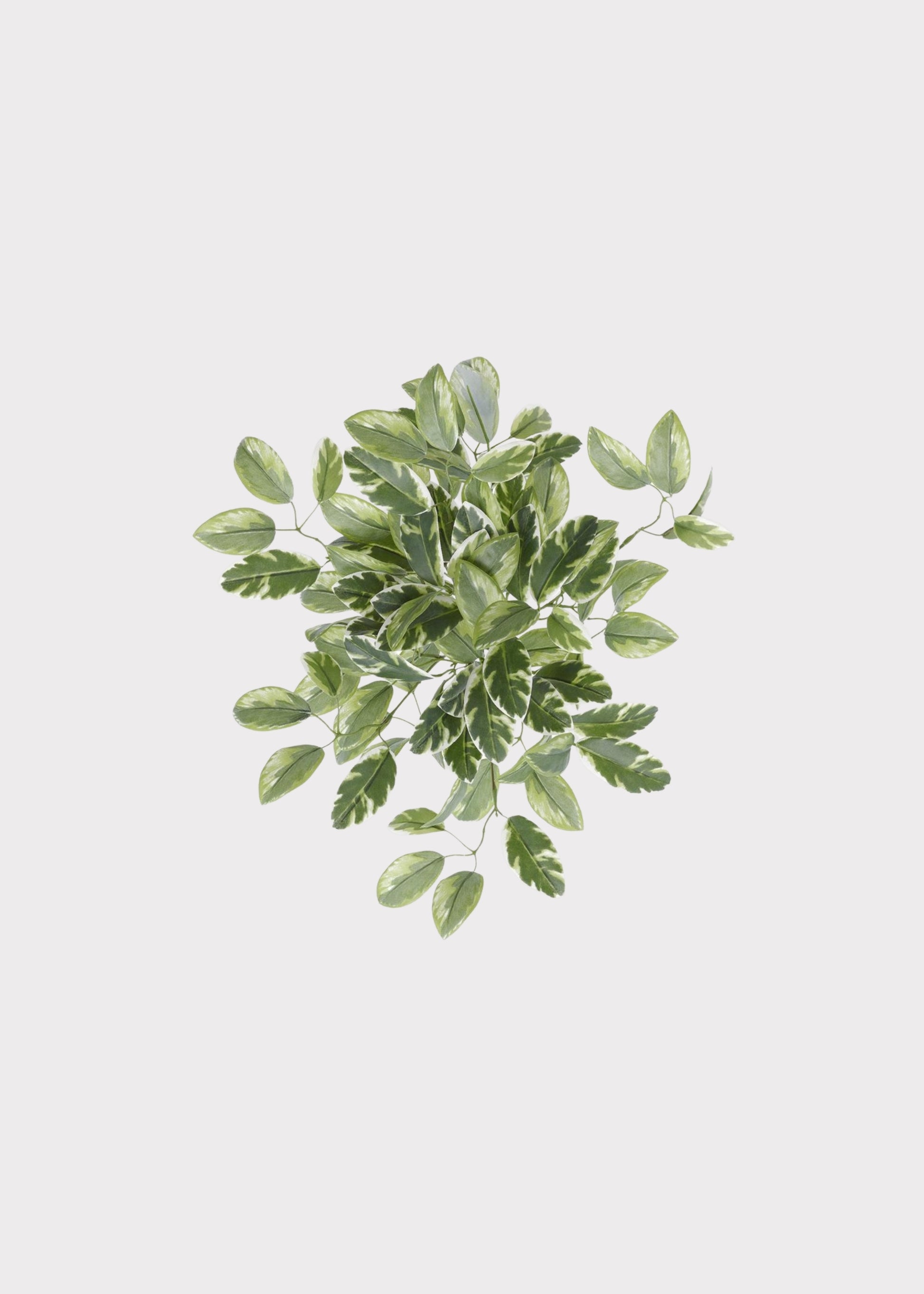 Fake Euphorbia Hanging Leaf Bush