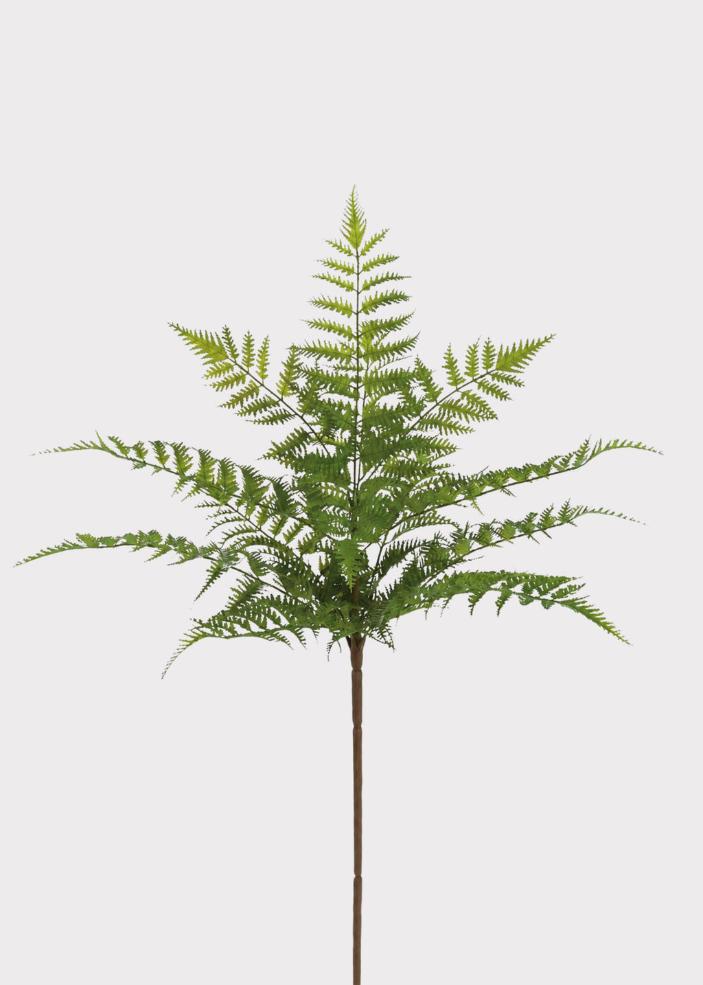 A single artificial fern stem with bright green fronds and a brown stem, centered against a solid light gray background.