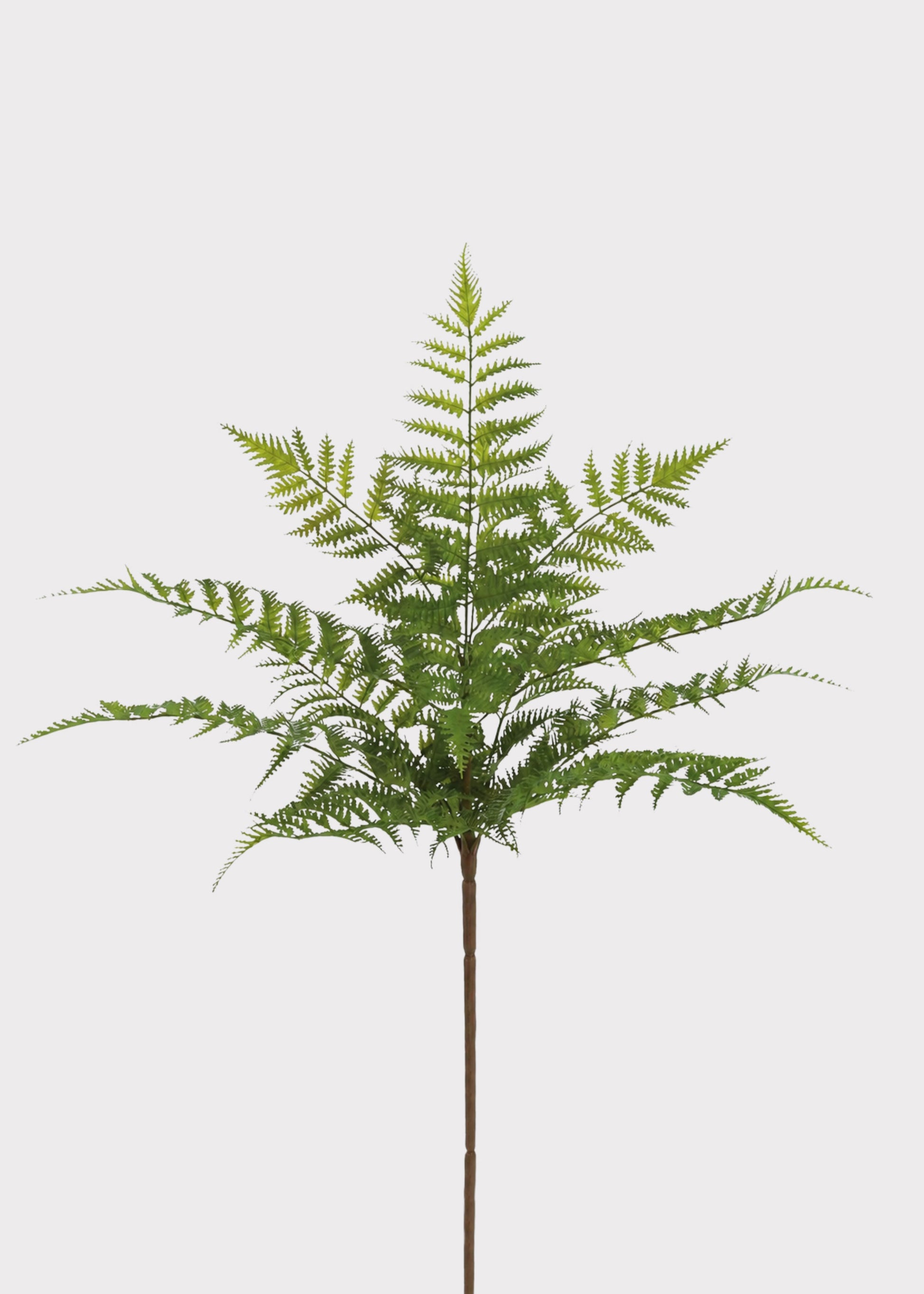 A single artificial fern stem with bright green fronds and a brown stem, centered against a solid light gray background.