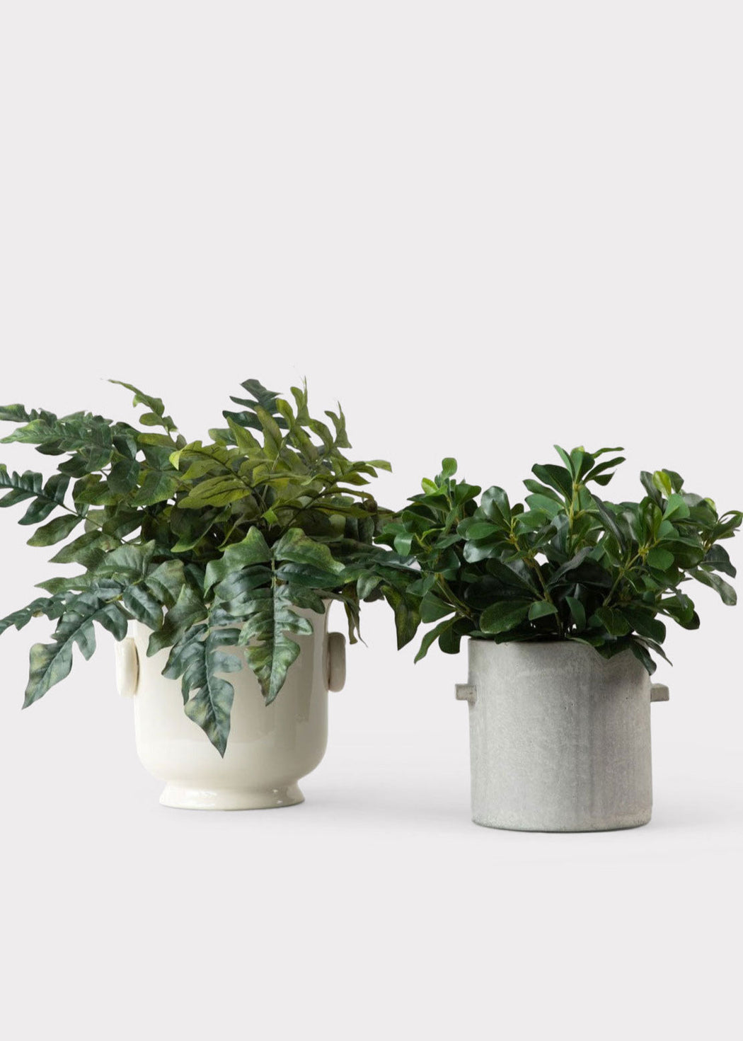 Best Sellers: Quality Fake Flowers & Plants | Afloral – Page 2
