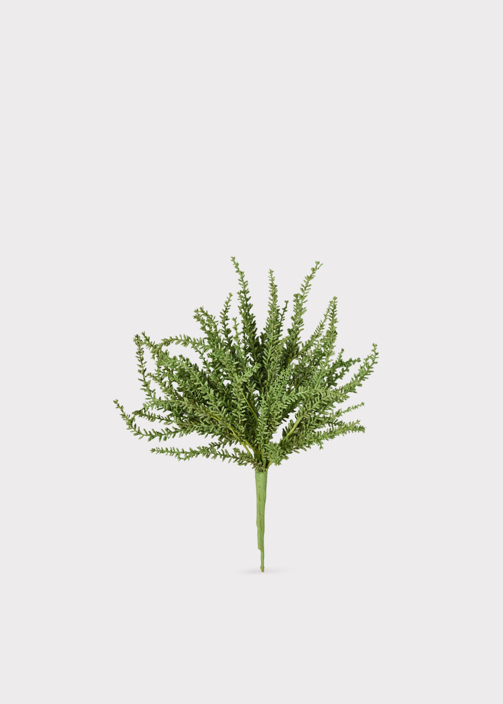 Artificial Succulents in Green Sedum Plant at Afloral
