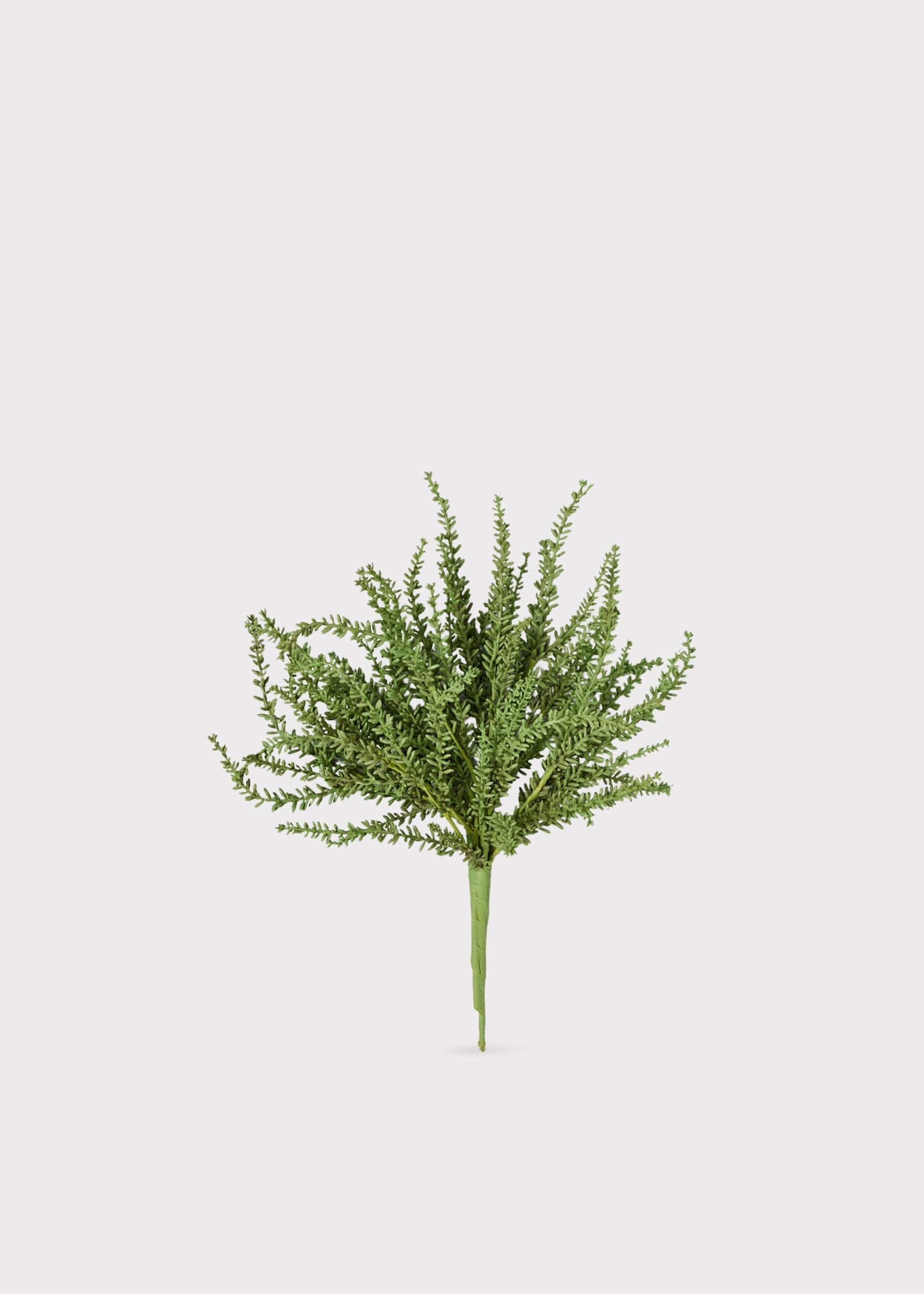 Artificial Succulents in Green Sedum Plant at Afloral