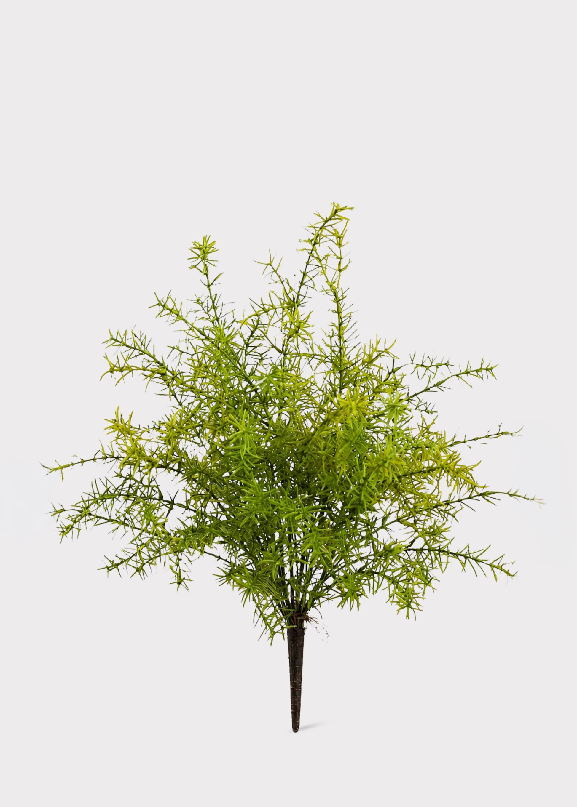 Artificial Sprengeri Fern 