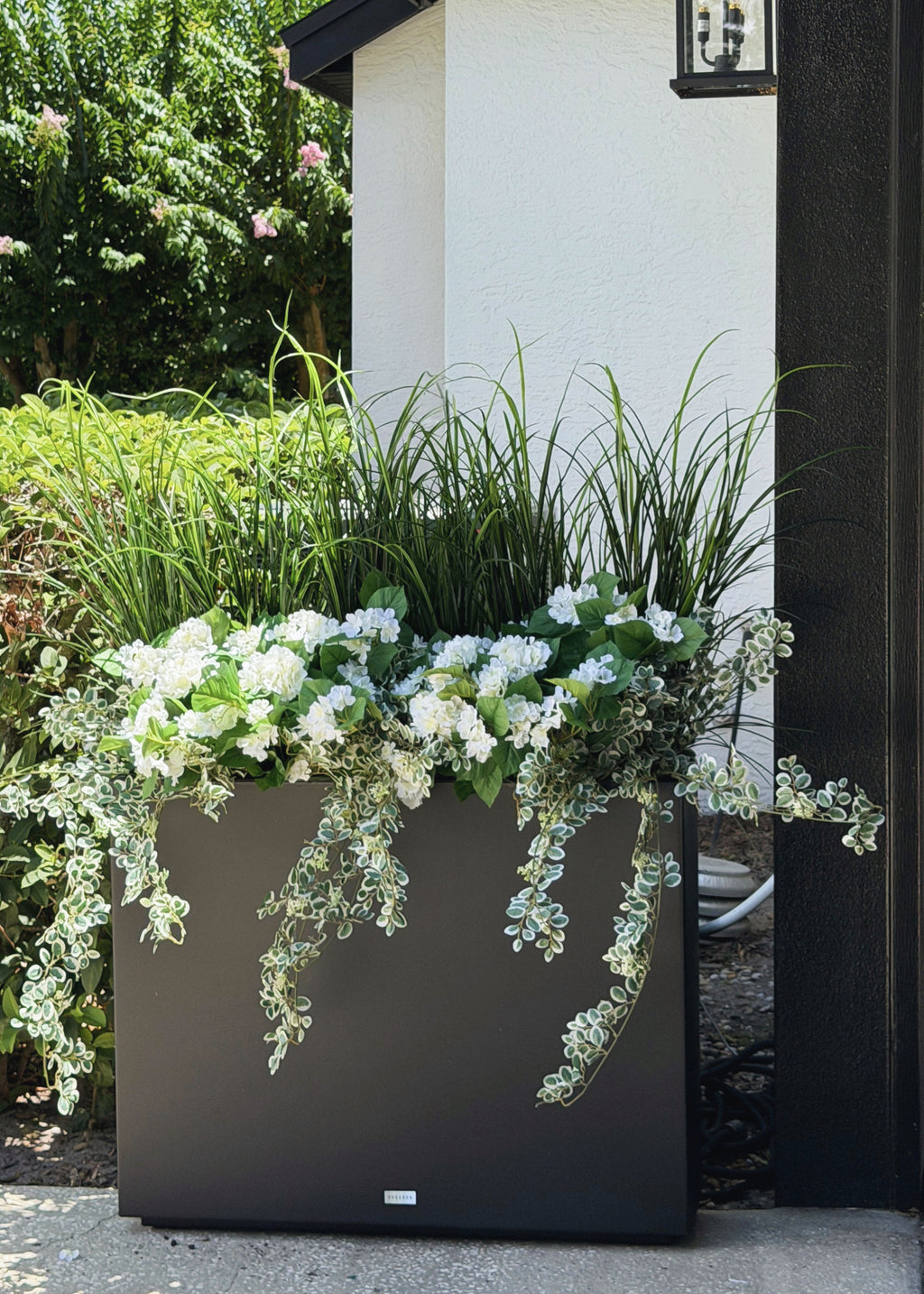 Grass, Button leaf, and Hydrangea Arrangement in outdoor planter
