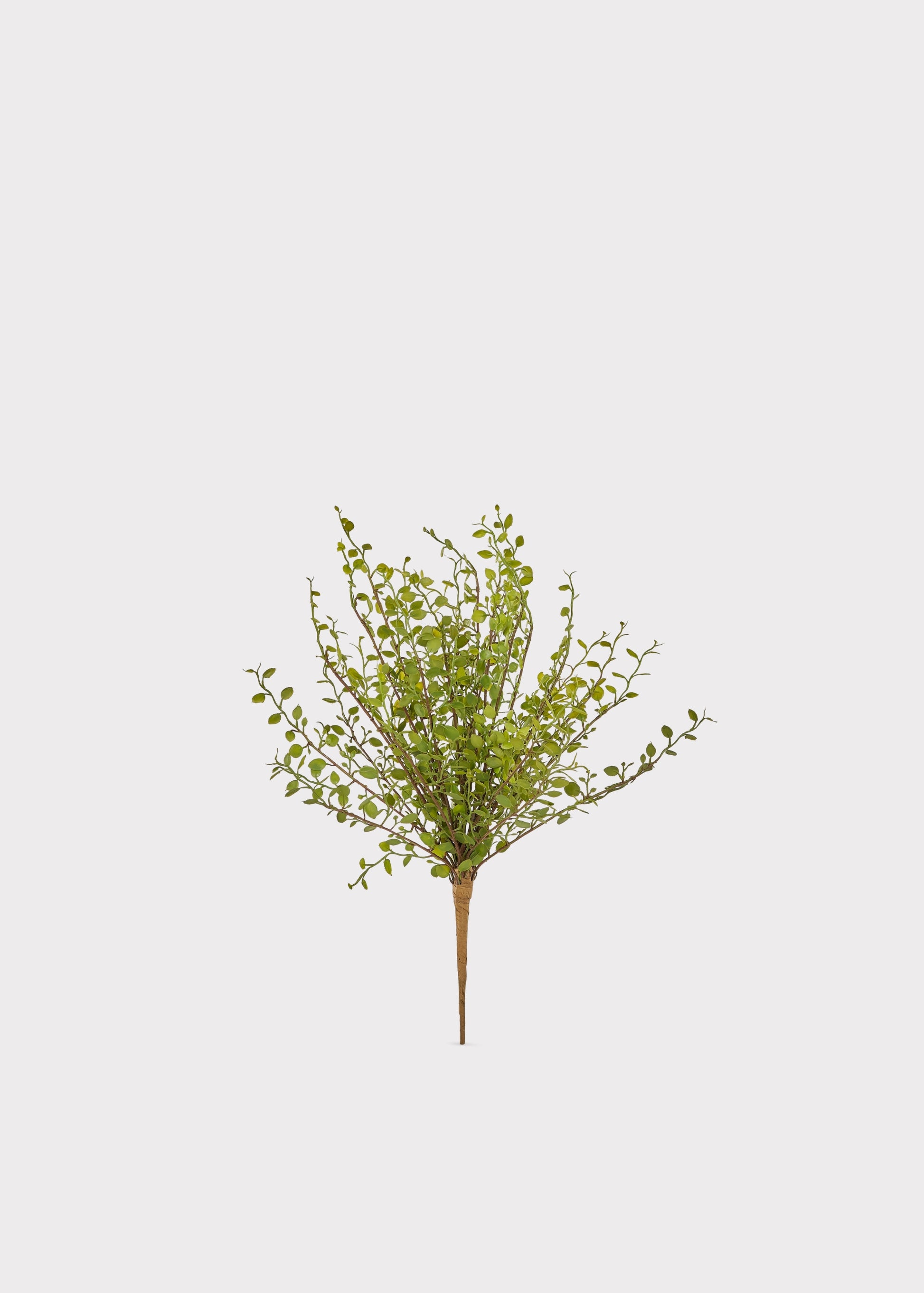Artificial Maidenhair Creeping Vine Bush