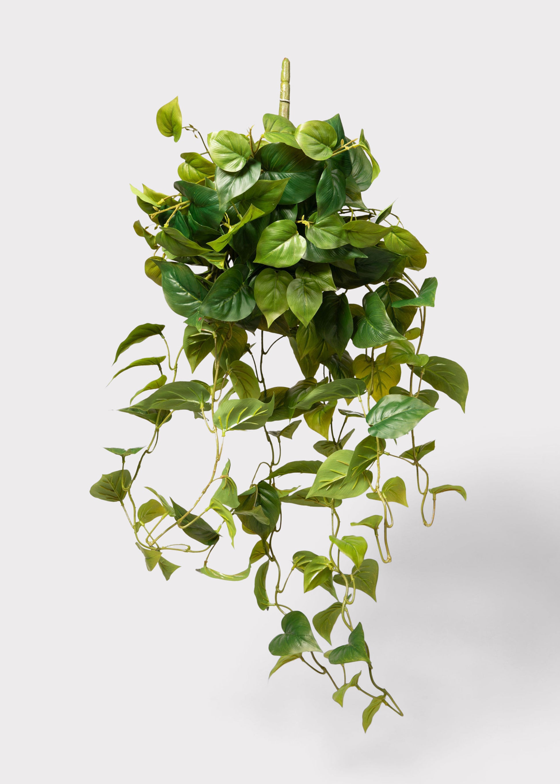 An artificial green trailing faux Philodendron houseplant with heart-shaped leaves, hanging against a plain light gray background.