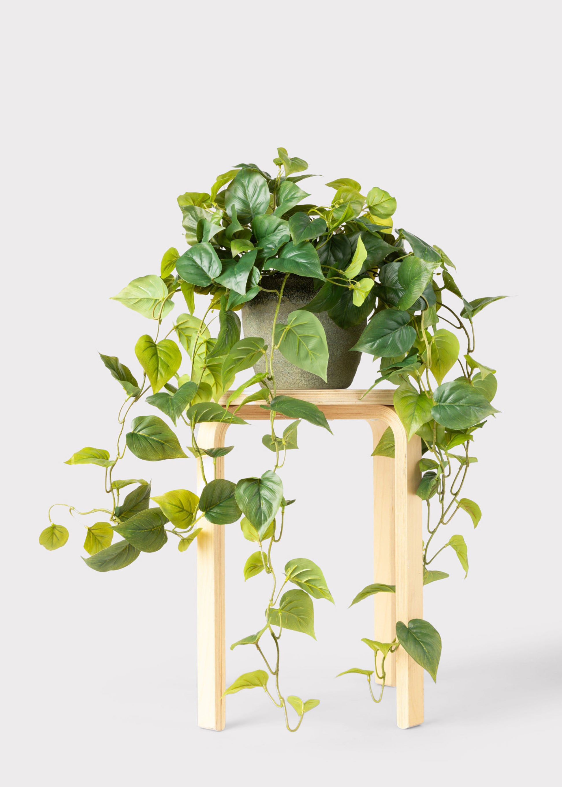 A green trailing Philodendron Fake houseplant in a dark pot displayed on a light wood stand against a plain light gray background.