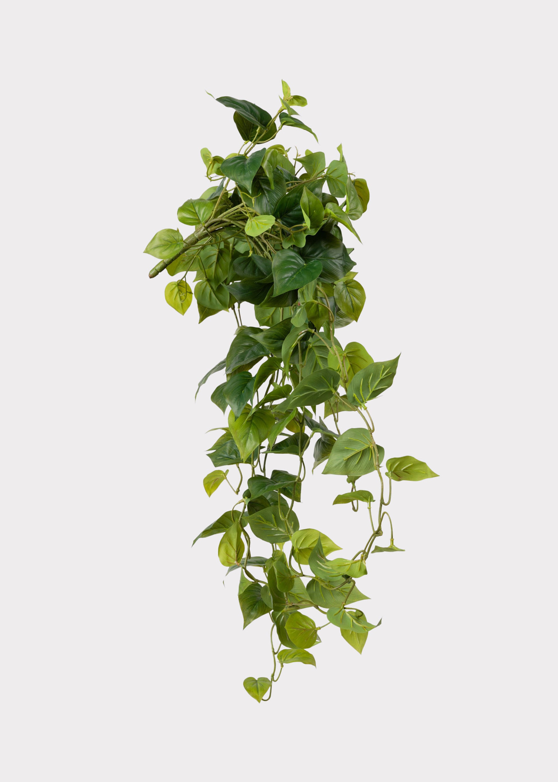 An artificial green trailing vine plant with heart-shaped leaves, hanging vertically against a solid light gray background.