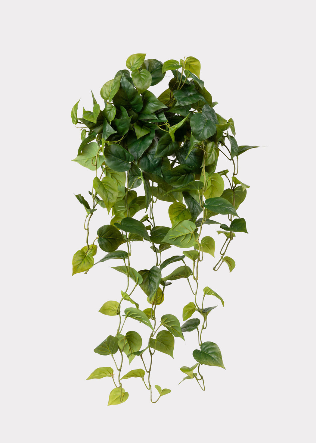 Best Sellers: Quality Fake Flowers & Plants | Afloral – Page 2