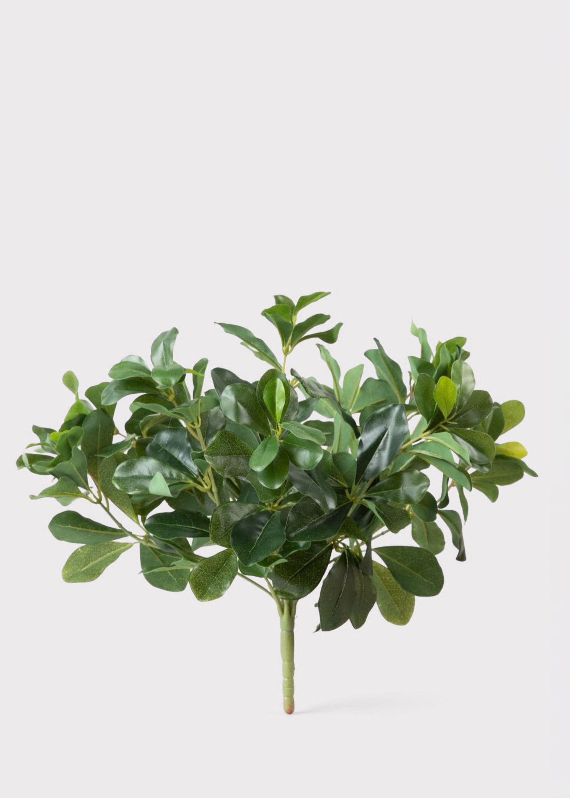 Luxe Faux Plants Wax Privet Leaf Bush