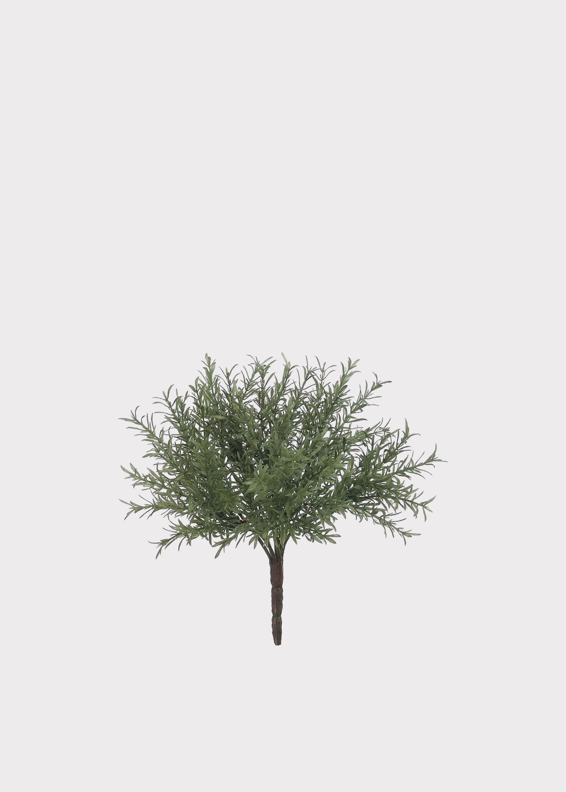 An artificial green Rosemary dense, needle-like foliage and a brown trunk, centered against a solid light gray background.