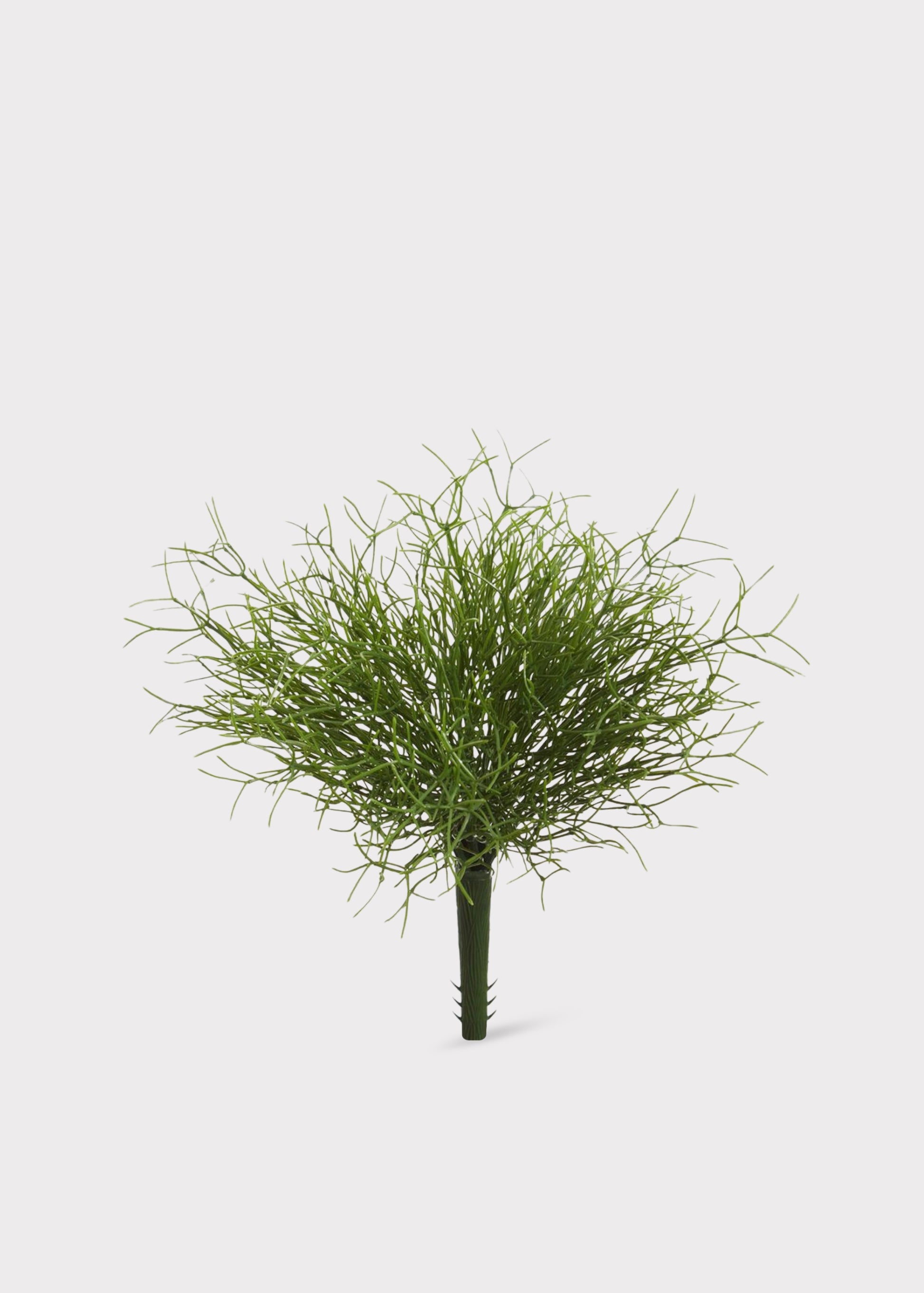 Fake Whisk Fern Foliage Bush
